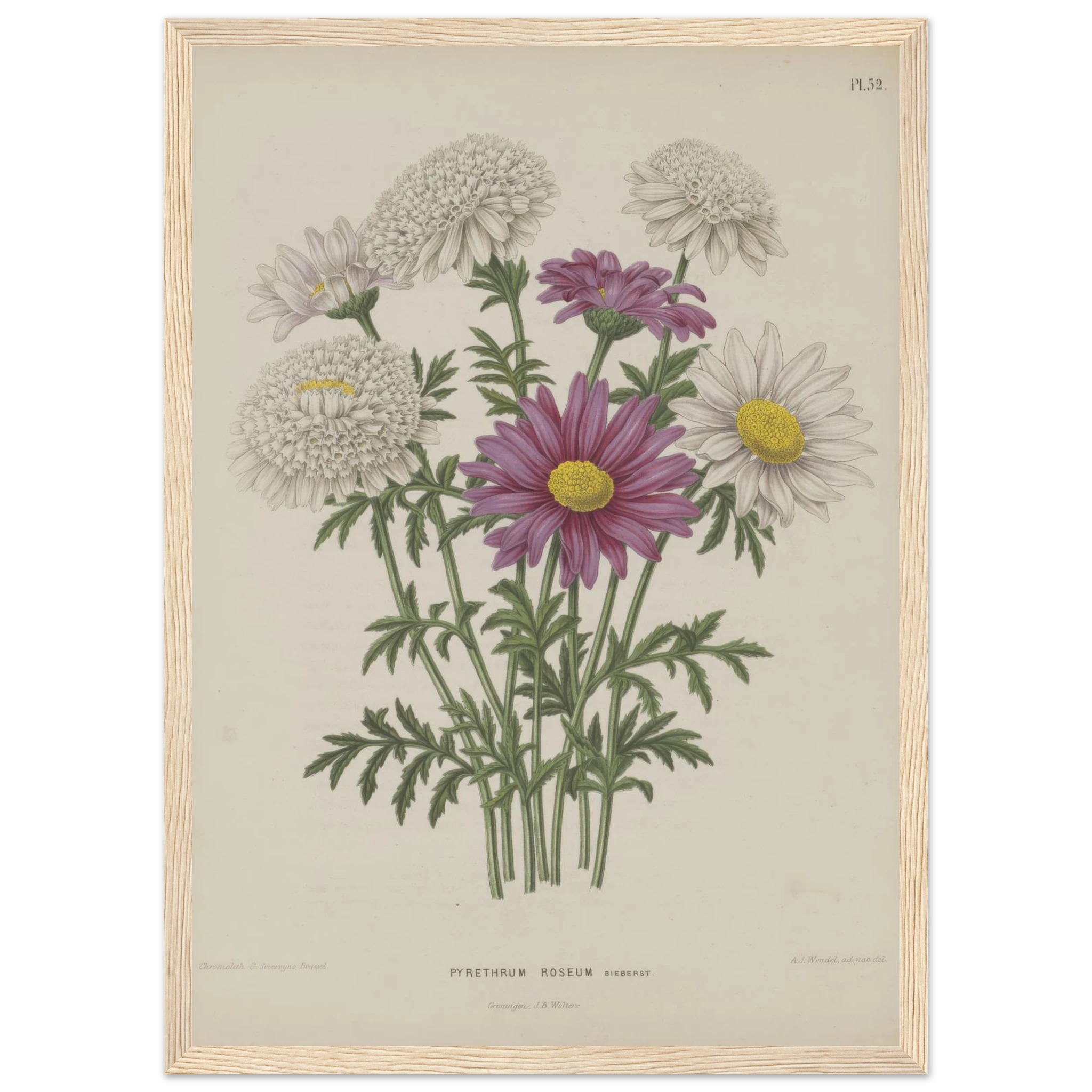 148bdc2f-39a6-4b8a-8e1d-68a3804d30b3