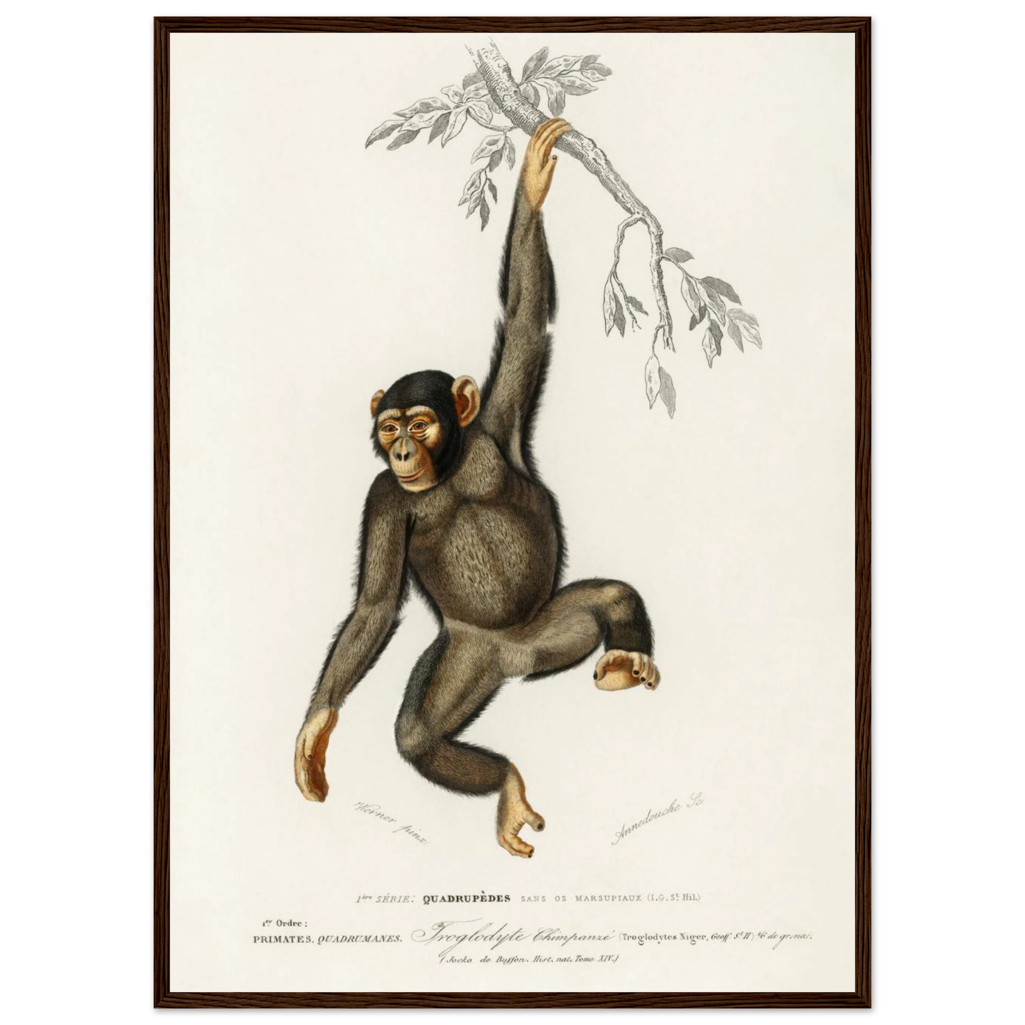 14ab3a31-f786-4131-8873-fe37b60712ec