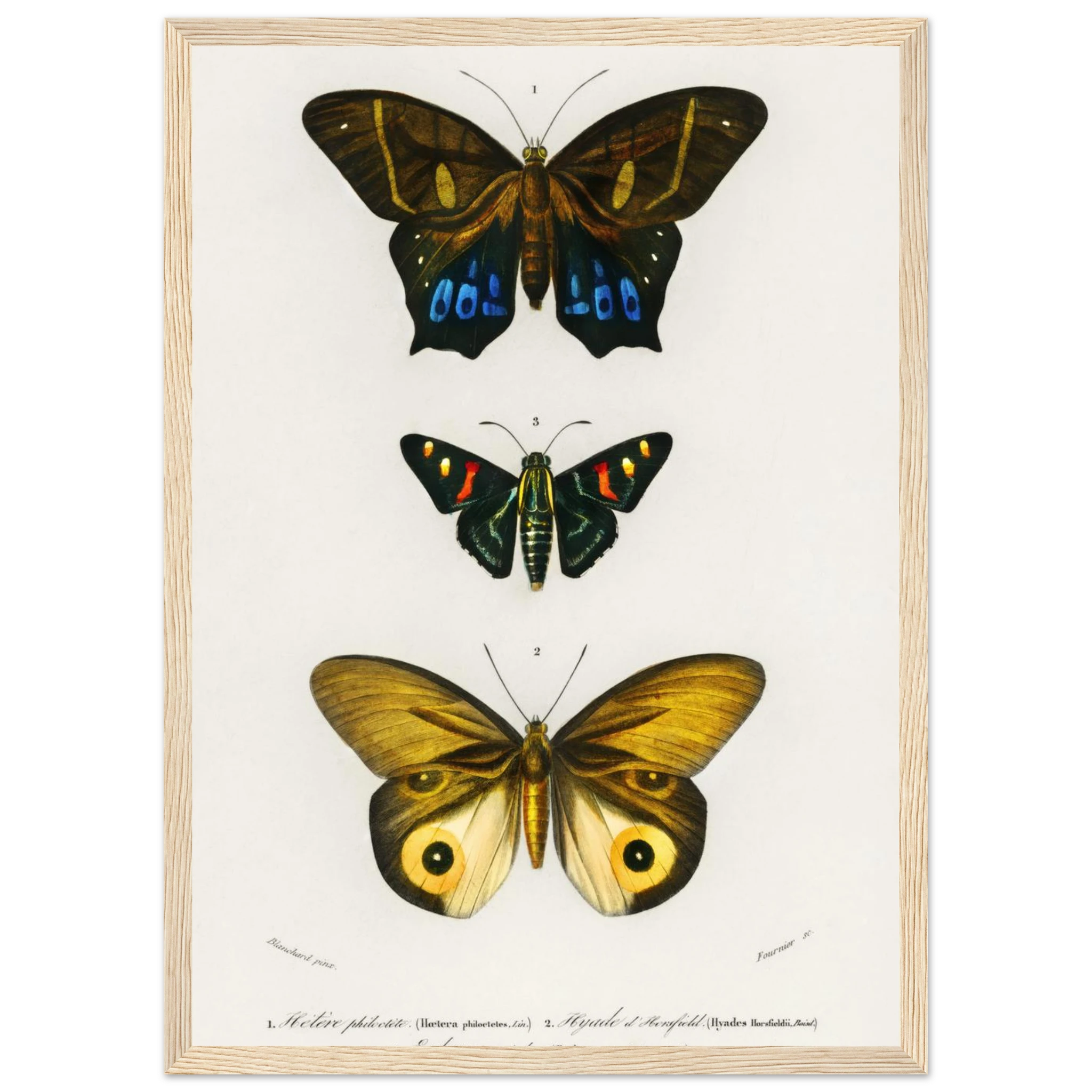 14bdc7cf-50dd-43f1-872a-4f193bec180b