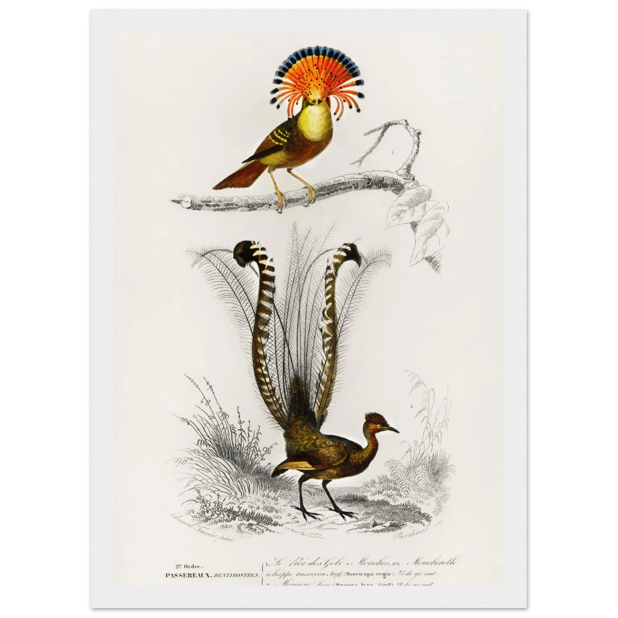 14f898dd-384d-4793-9f5c-5d52ba0bae6b