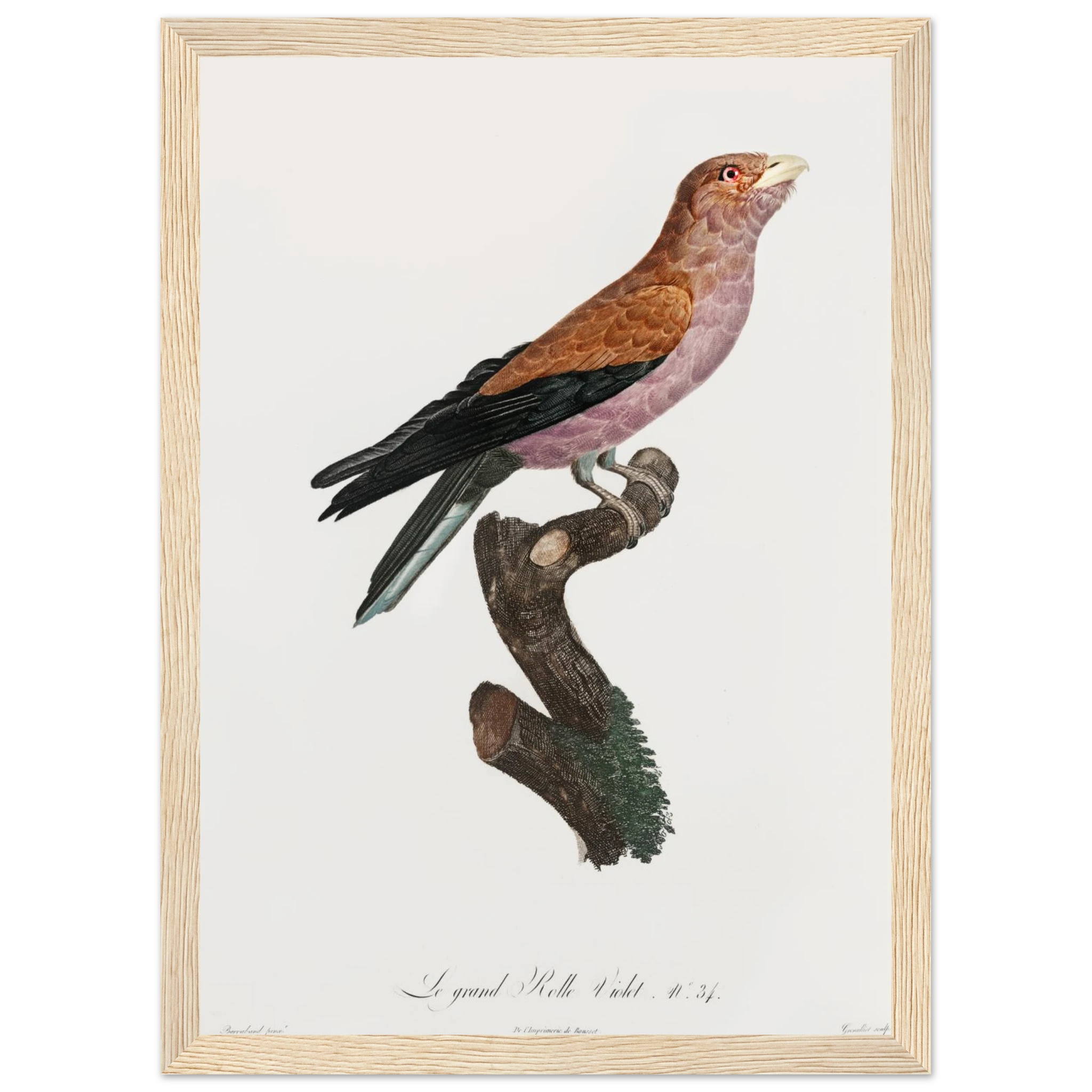 153c7172-f24d-484a-912a-db9f3348d95b