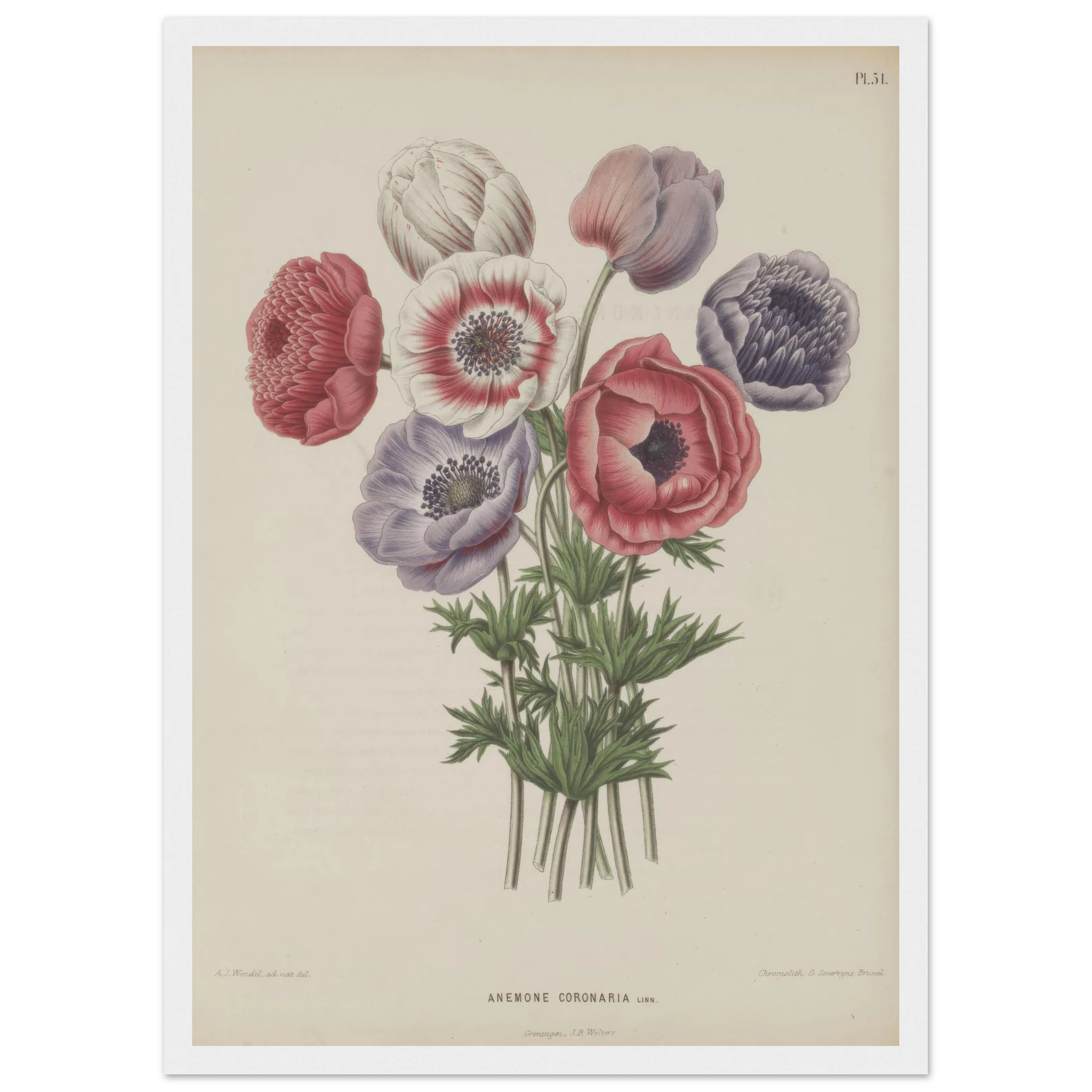 1540cea2-d286-4da8-bba7-7ec4e640ca9d