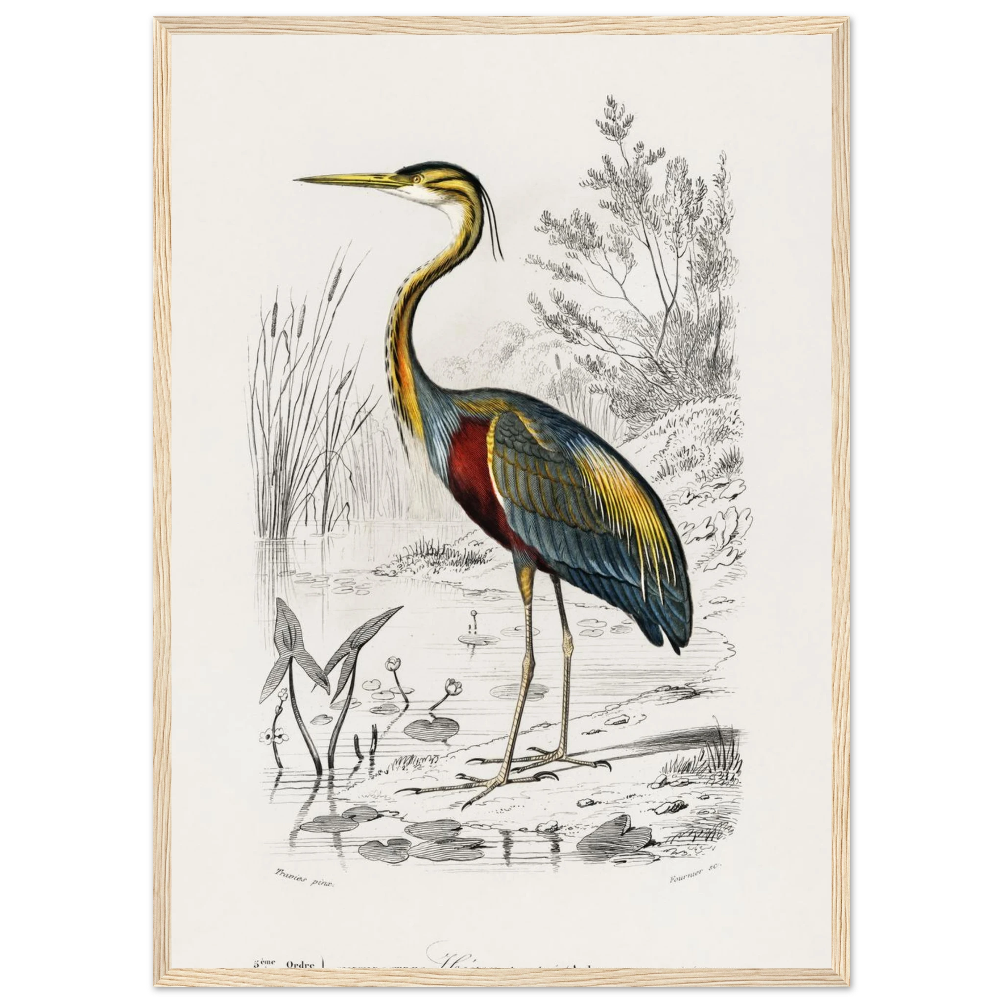 1557691e-8b98-4f75-a864-471b2ebf31de