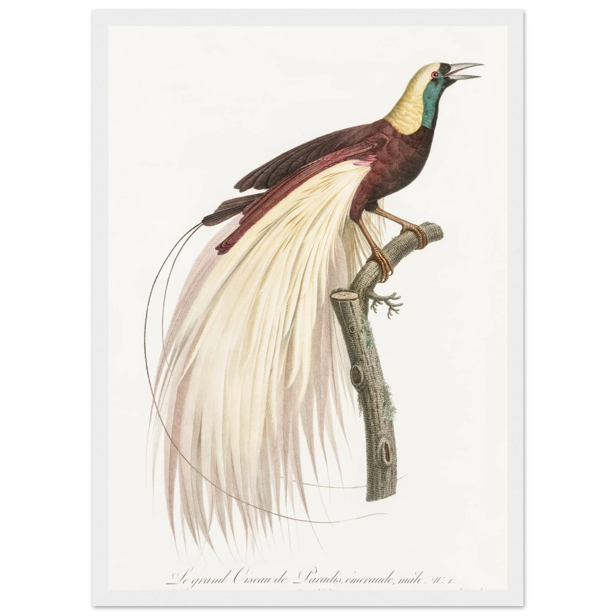 1563f355-38b8-4786-88b2-616046206dbd