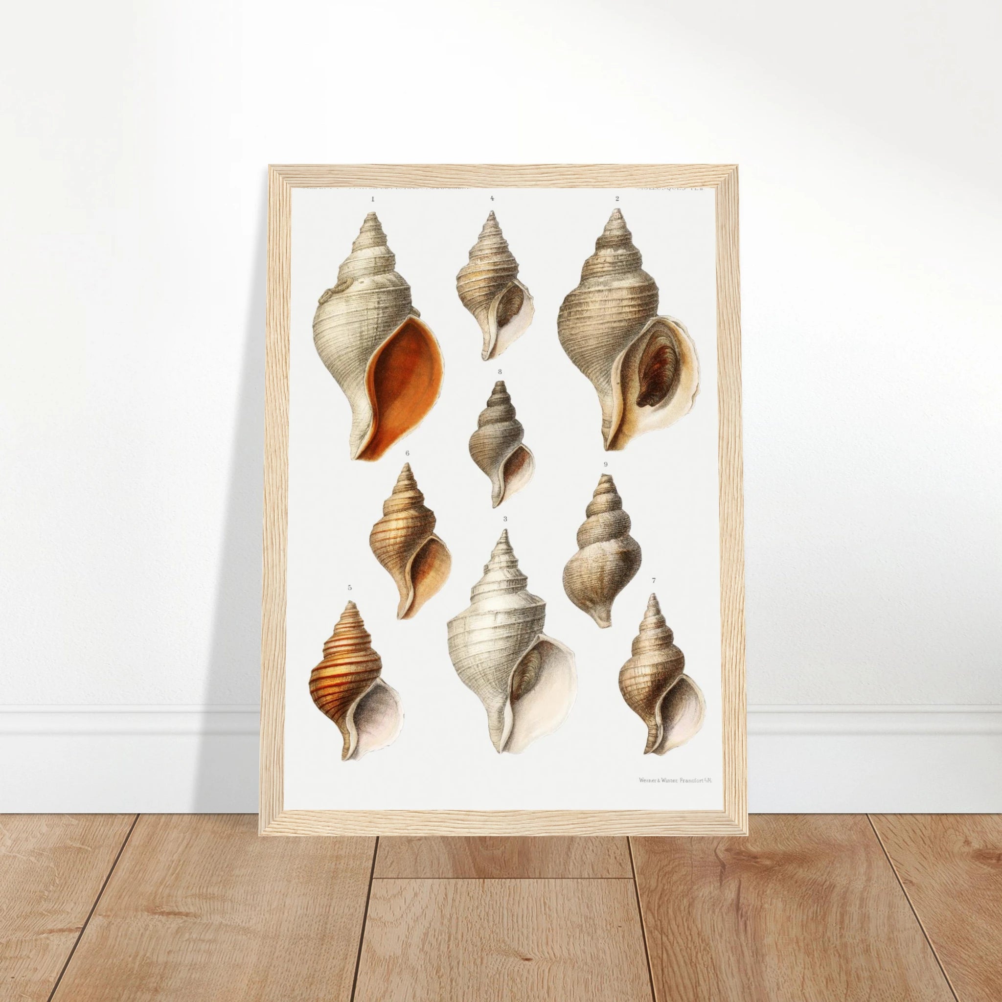 1595edd5-cbd9-4a6c-8d42-f47390c6c939