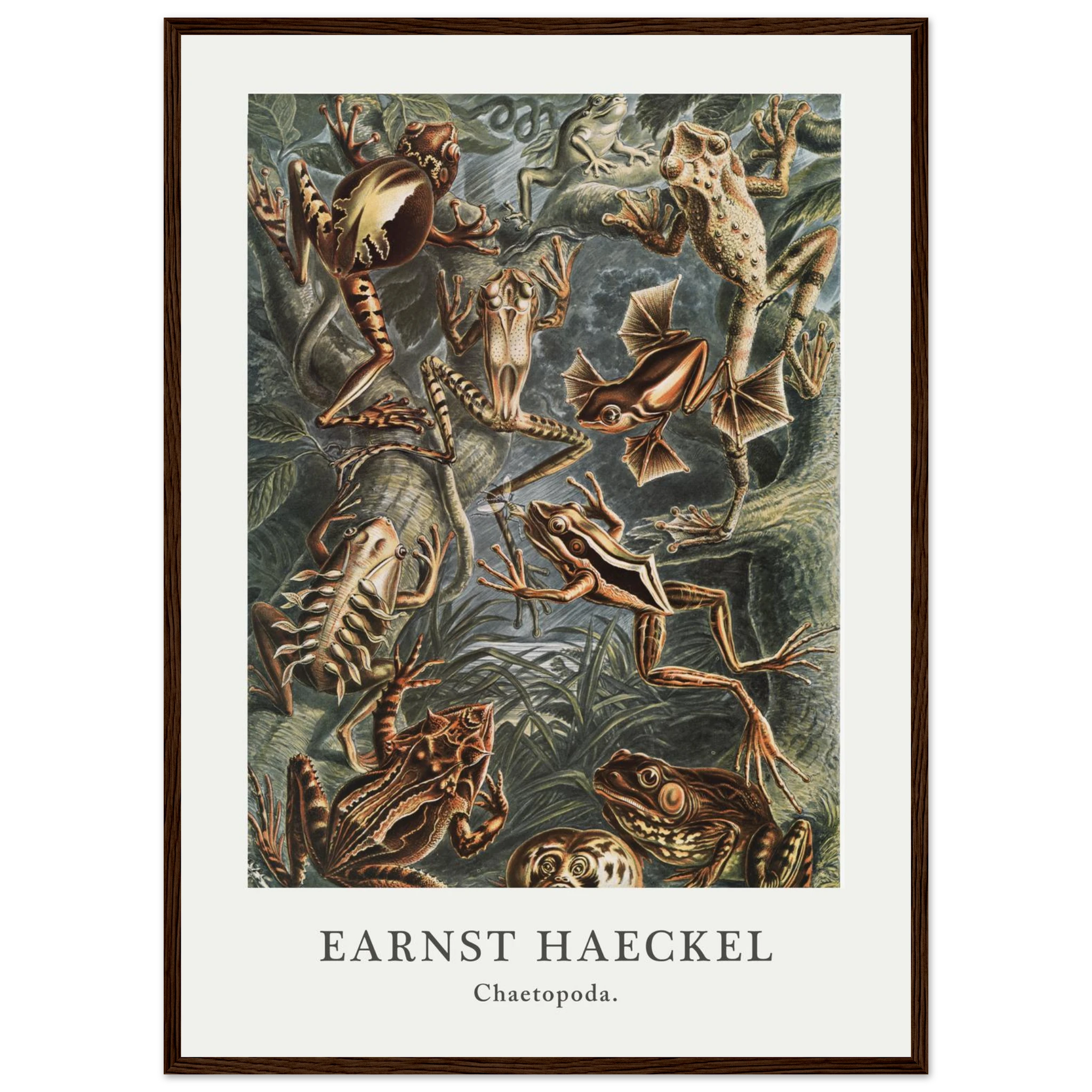 163c916b-d351-44fc-aeac-c824eb82d765