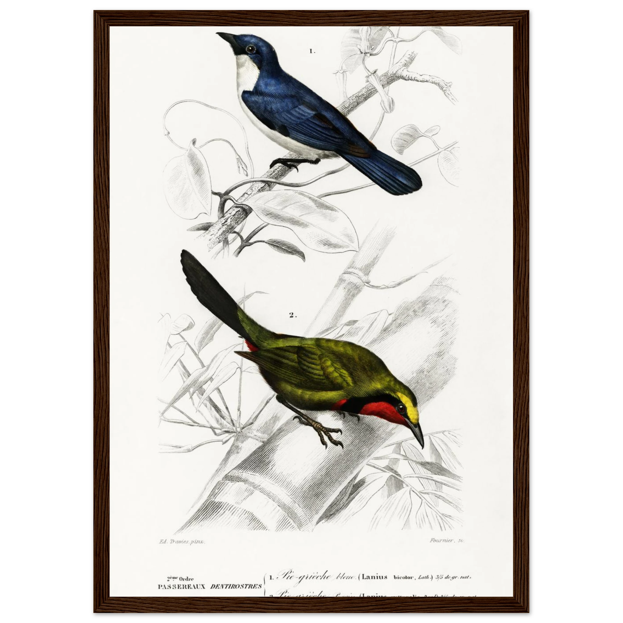 167f6390-9efd-44e8-9465-66a0166ff3df