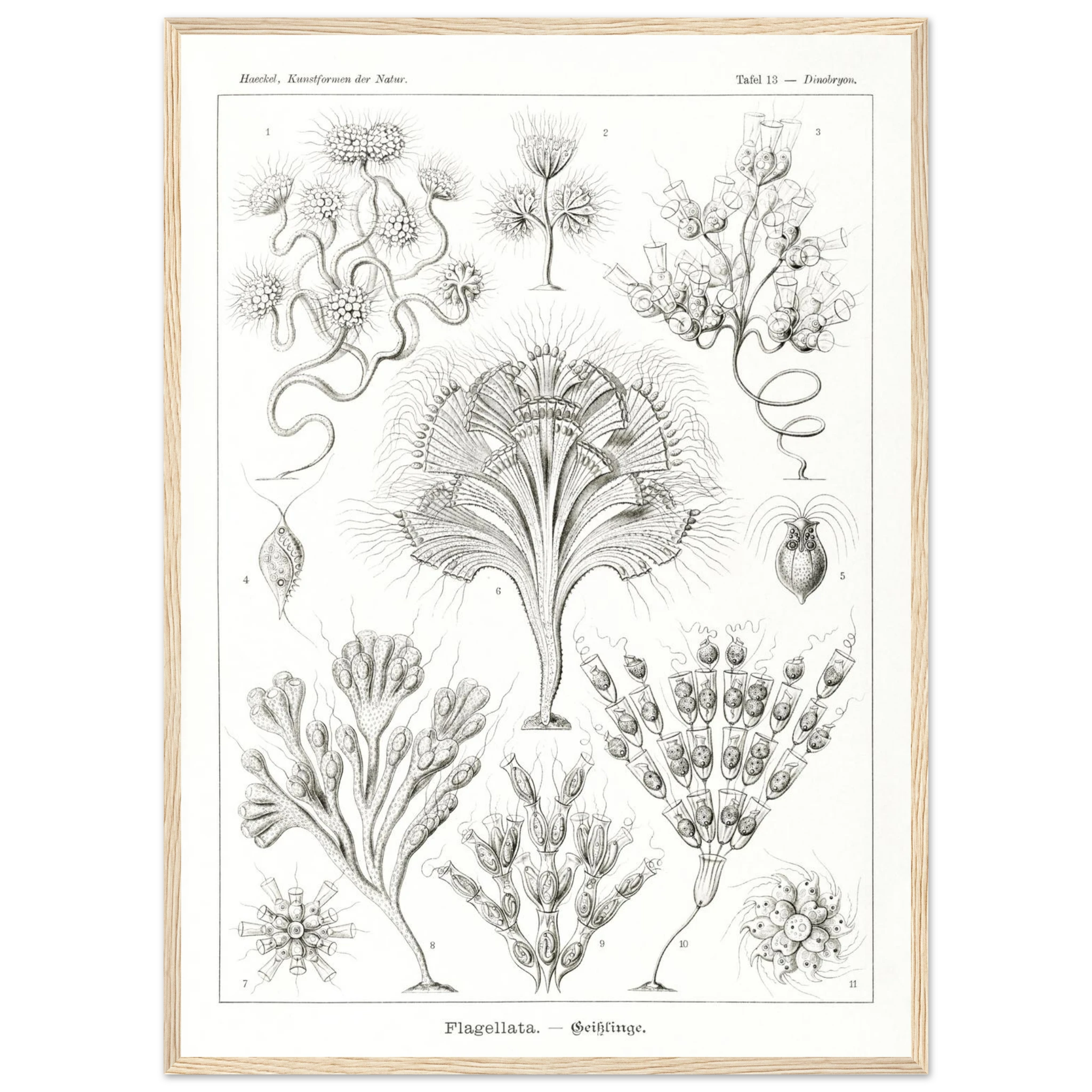 16ad2a5f-17c5-4572-9827-8eb76ce2f464