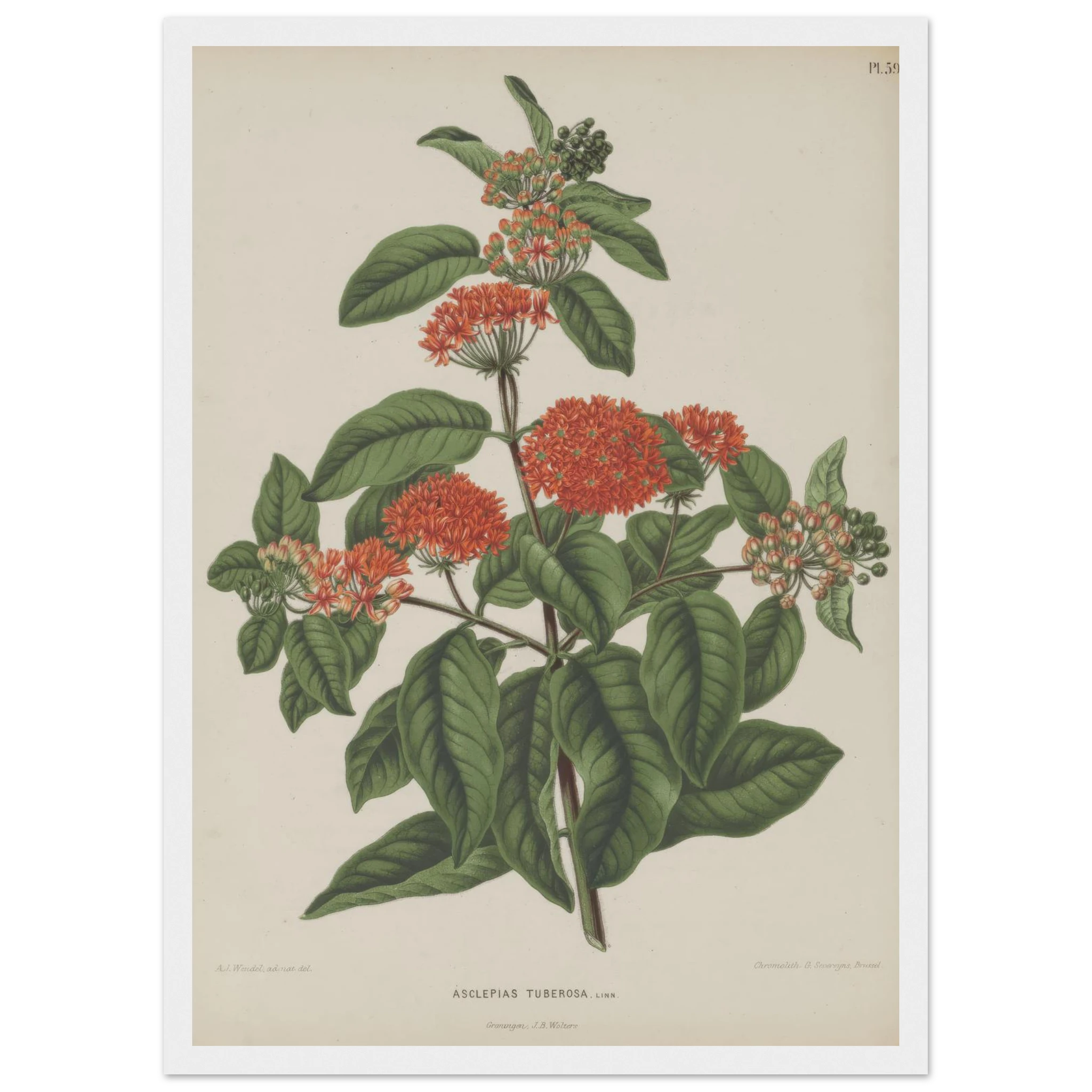 16b1a6f8-8374-4153-b882-83a95397ef63