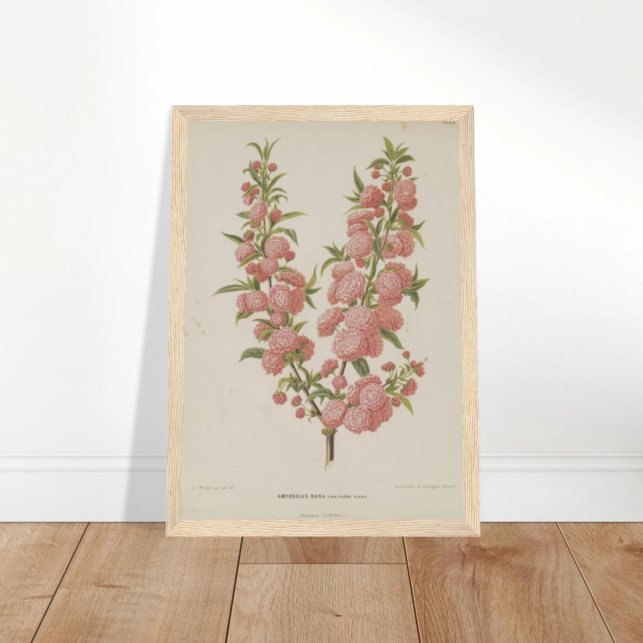 171d1ec8-d0cc-4f57-8096-467de8255838