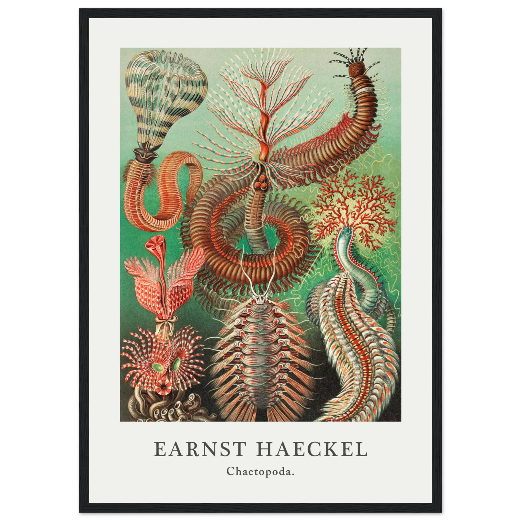 178486c5-8d29-4278-87b4-74d41495e343