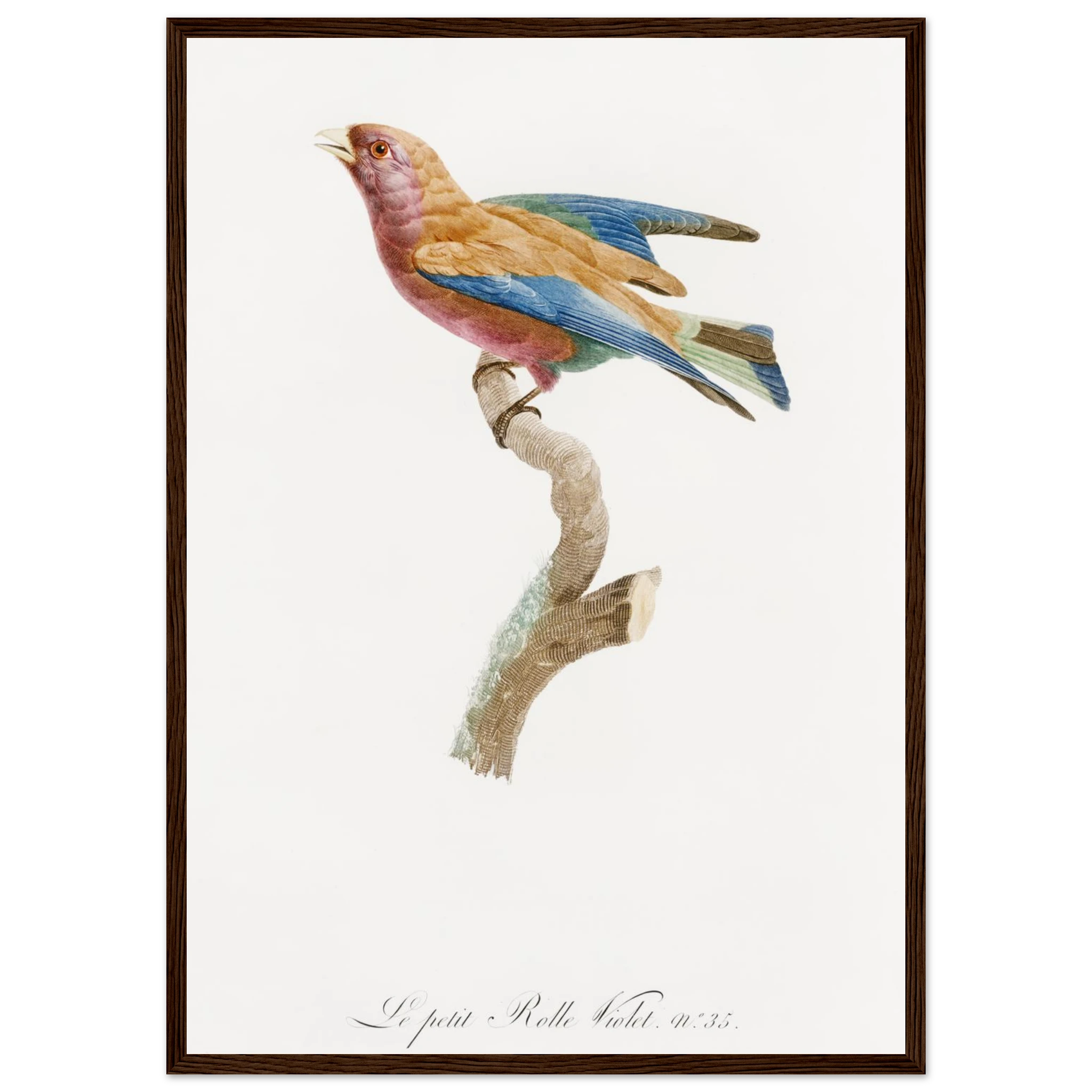 1797db77-a8cc-4e23-a795-d6b49c242f18