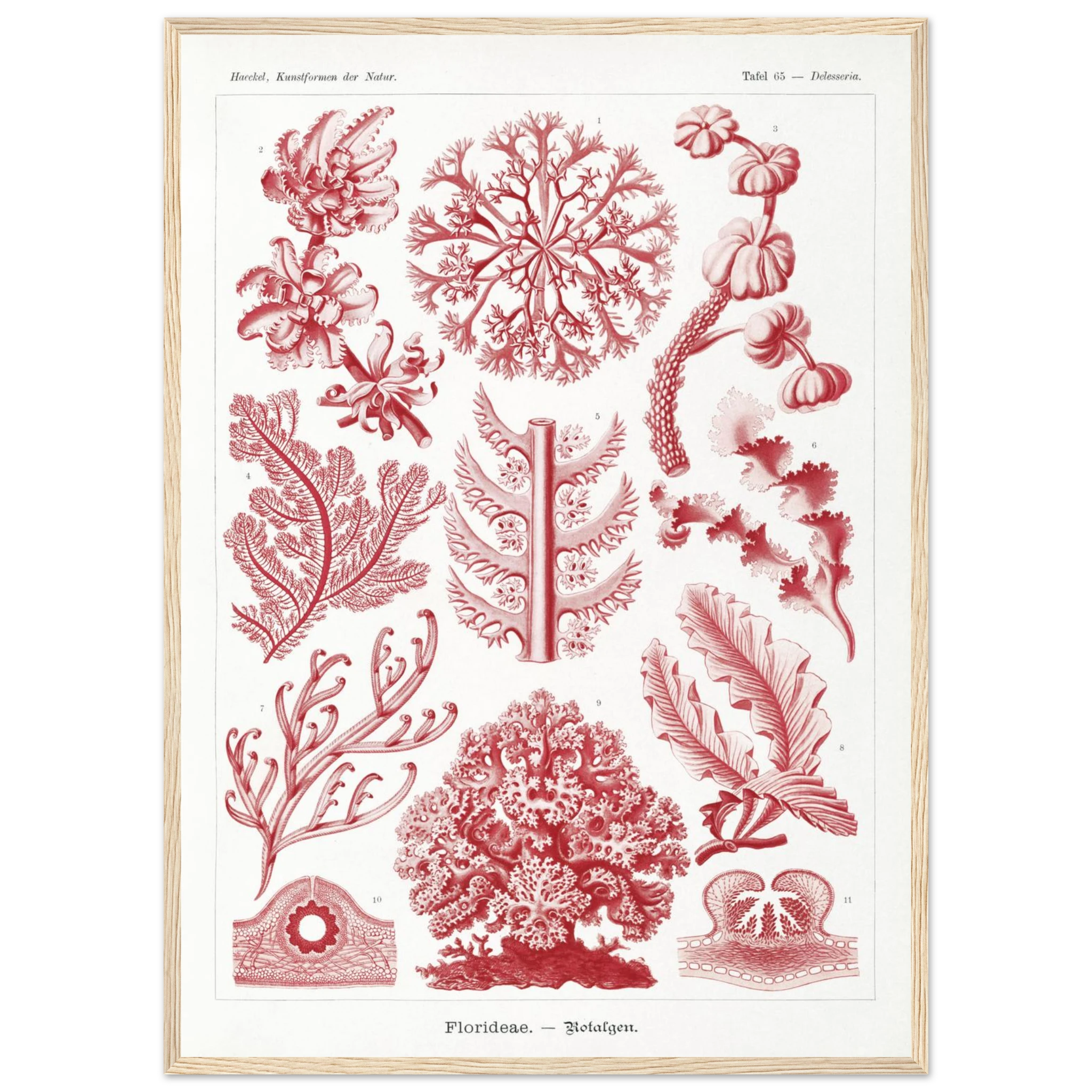 17b0de57-dfeb-4905-8e41-6071d8347c92