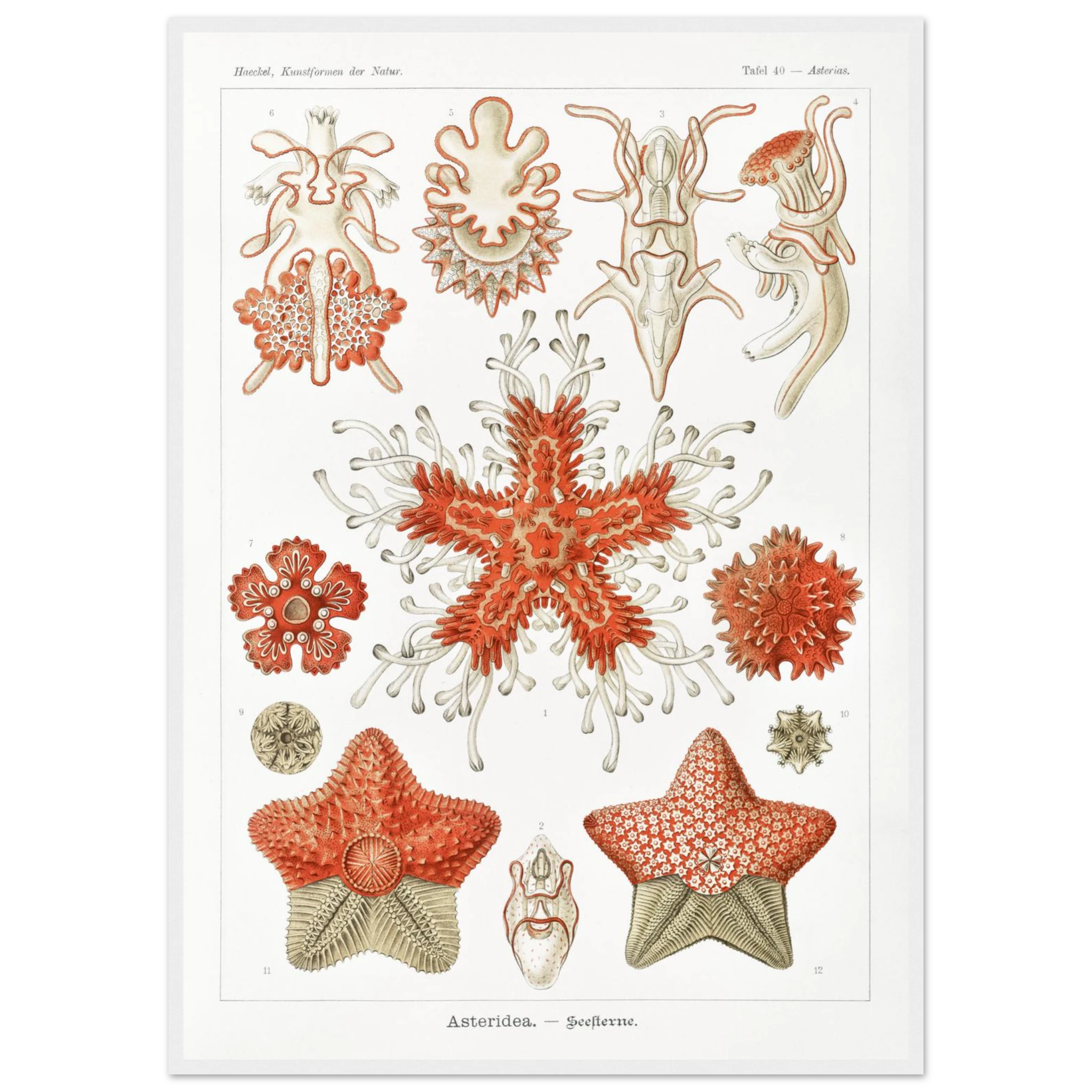 17f42f81-c7d9-4c6a-958a-9f95527f7b88