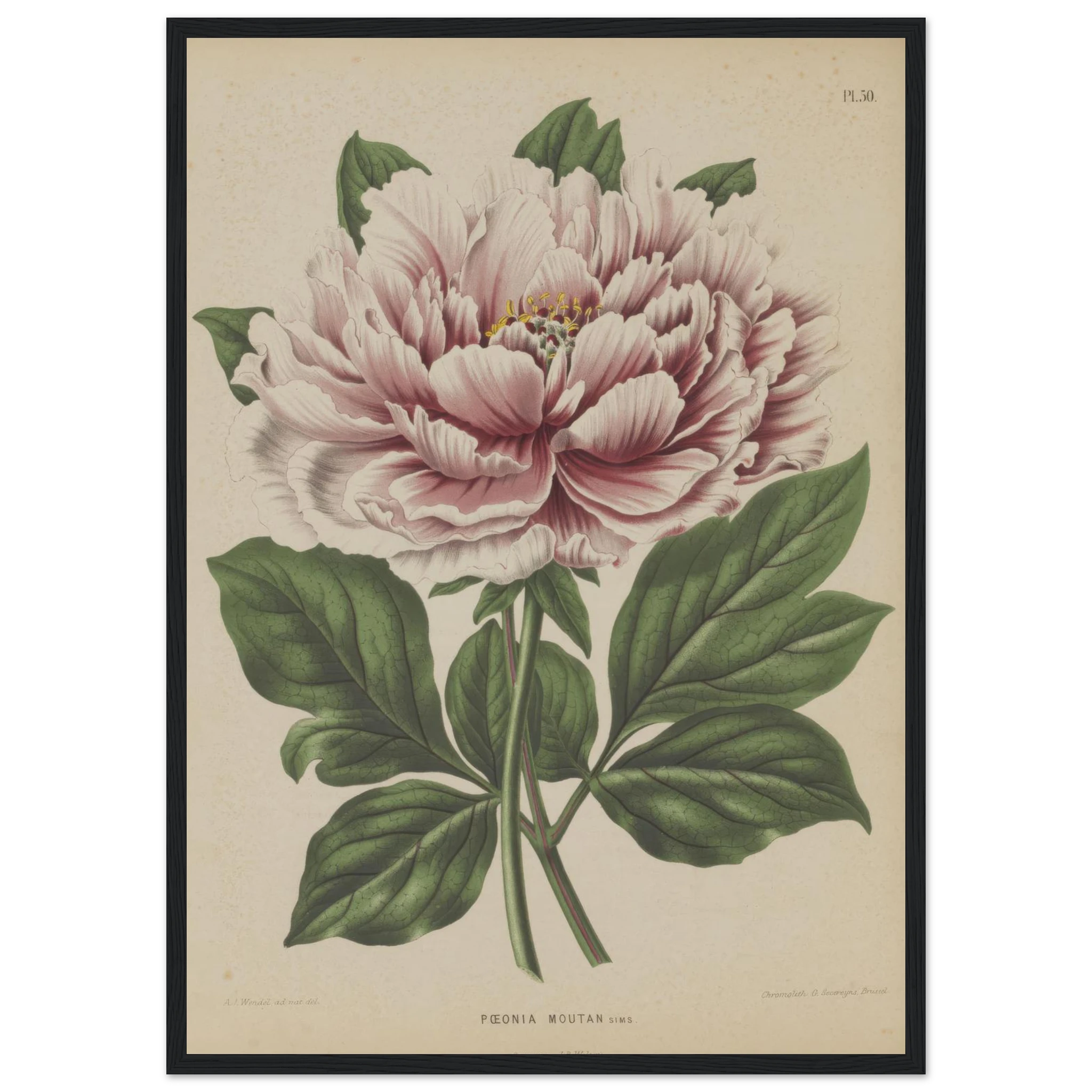 17f72128-318e-4d60-99fd-741fdb79d4dd