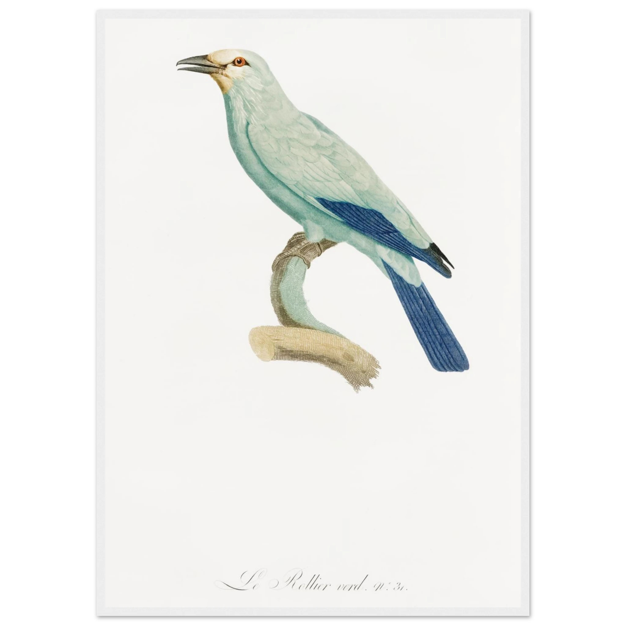 183c164b-f732-4b57-aff4-48ed4af6778c