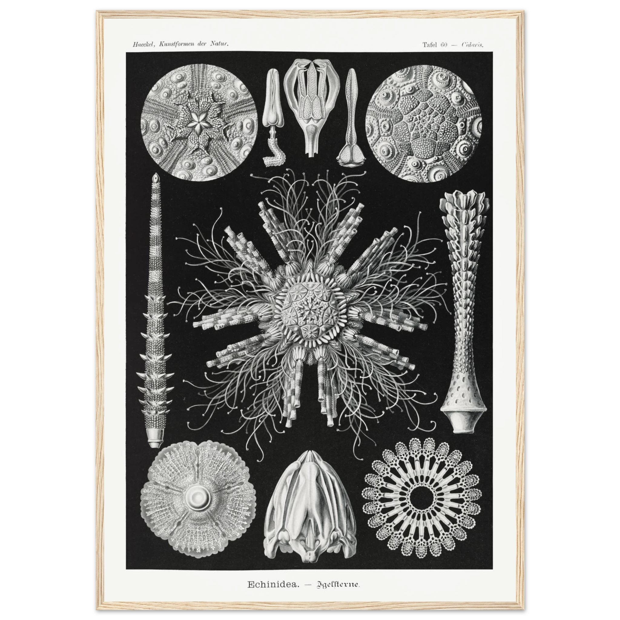 188913d2-a065-45db-a013-b66ce7b87e63