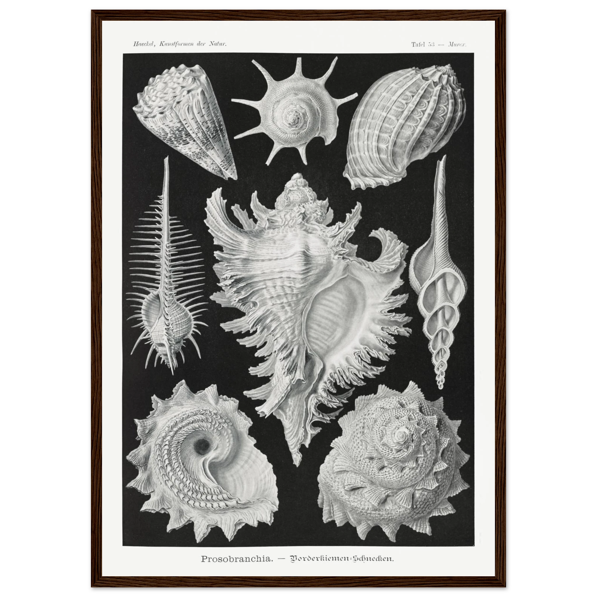 189b4670-6b3c-4046-88a7-b8457964bdf5