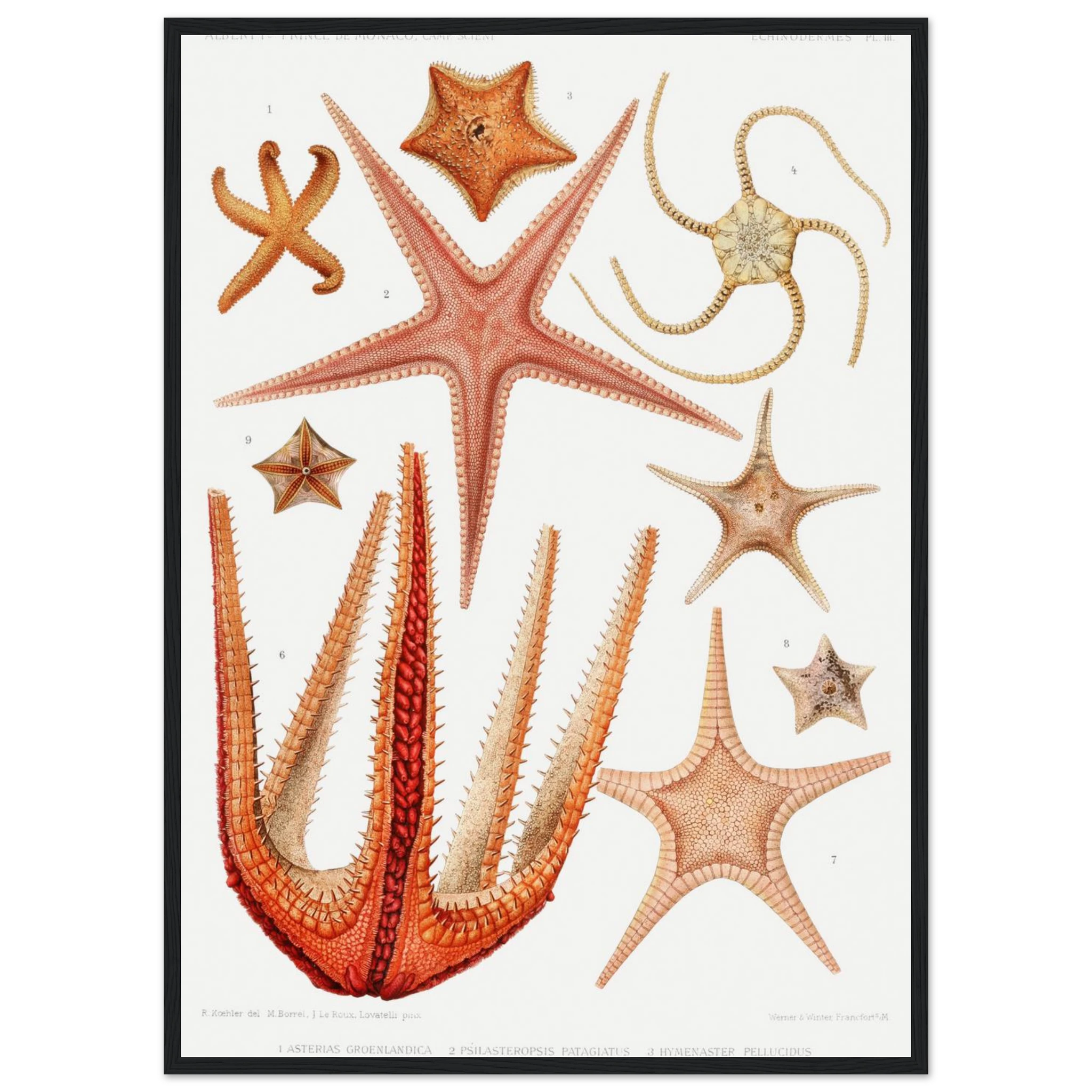 190edacf-5cb4-4019-ba51-4417a7689887