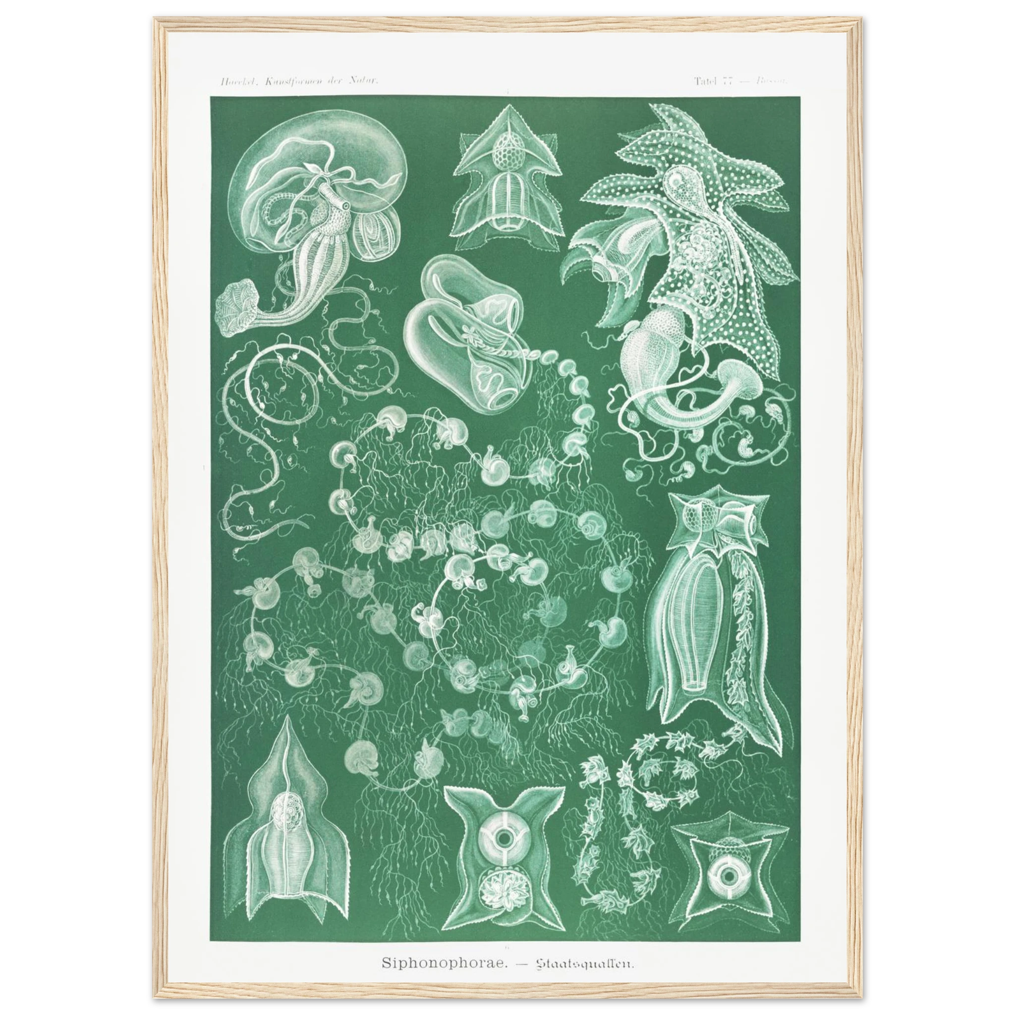 192347e5-3240-41f3-aceb-857c835b94ed