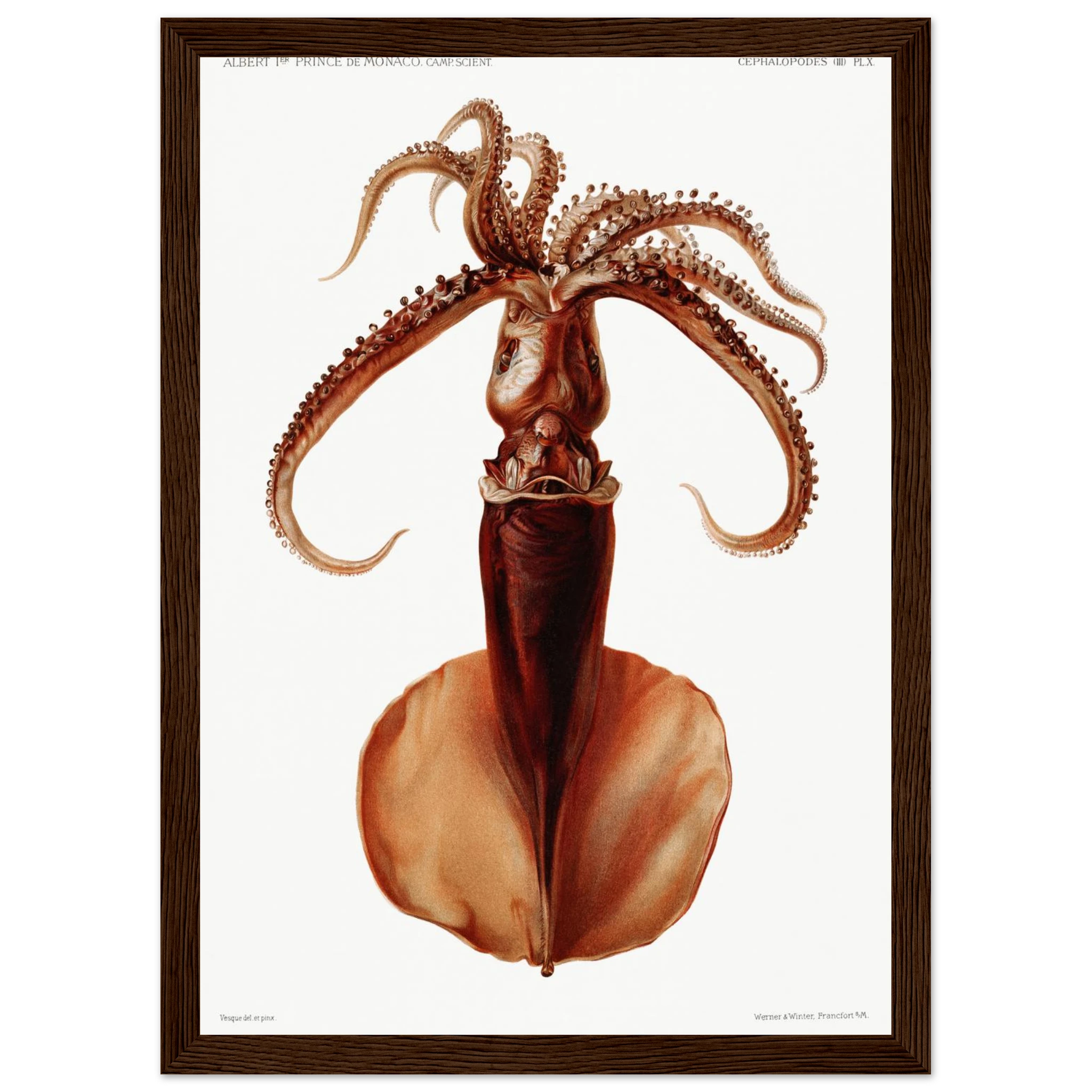 19acb0cb-3ca3-4187-a2a7-6d0bcf8e4ee9