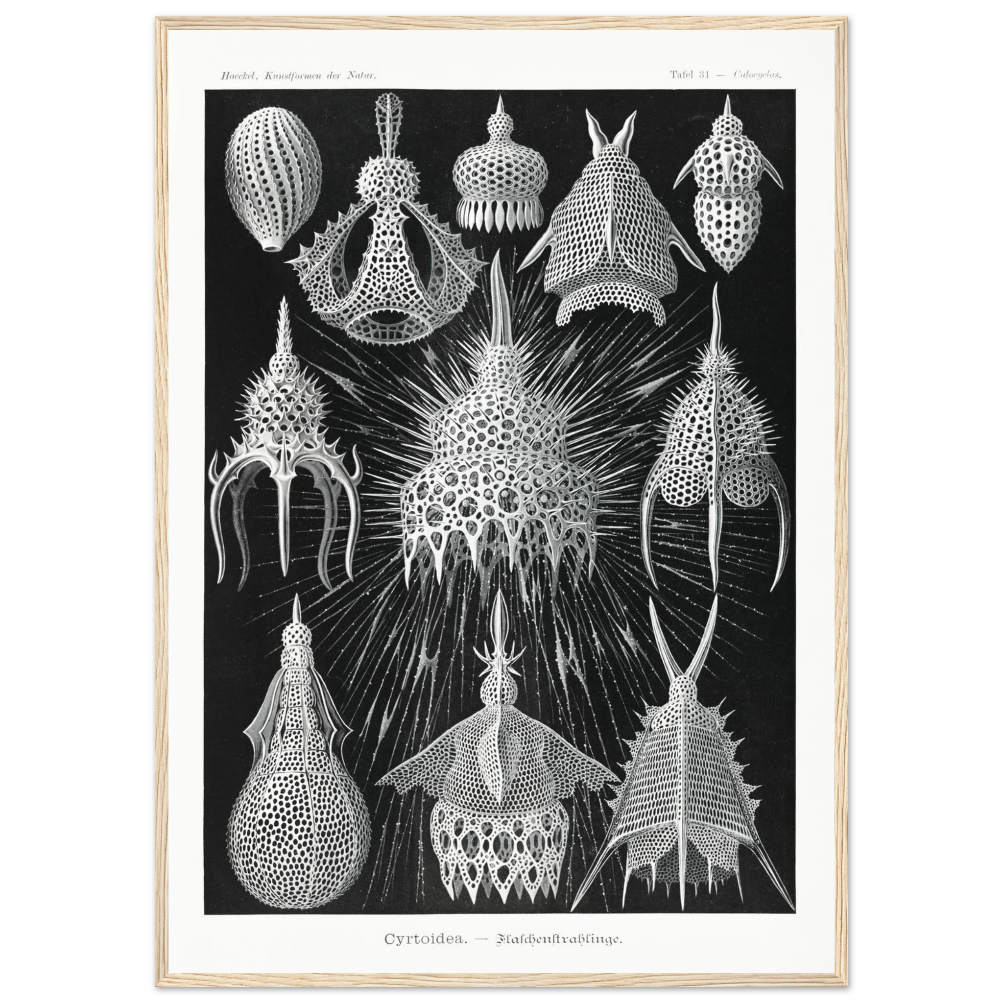 19ec0b3b-1913-4100-a3bf-5d3f82730001