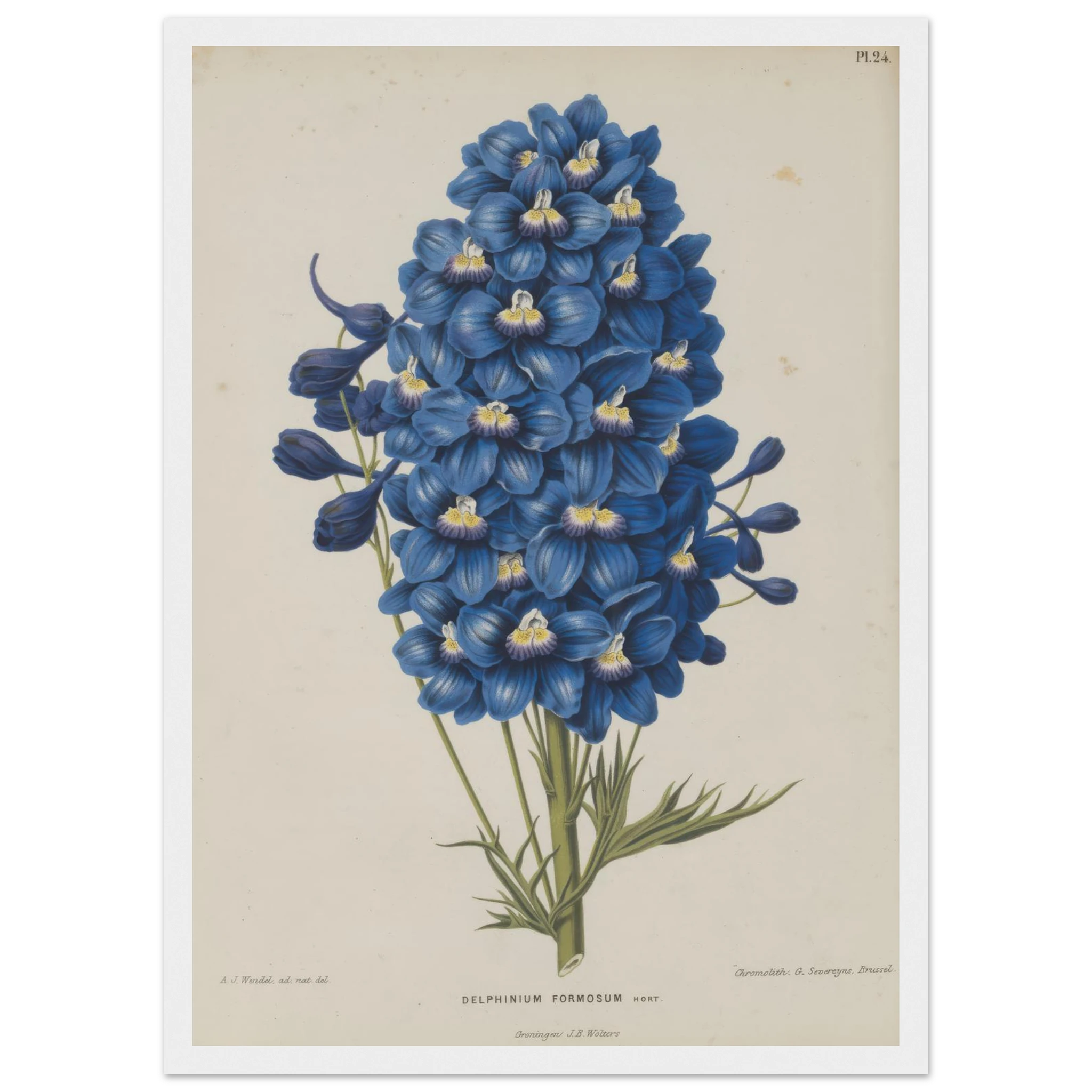 1a4178aa-bc64-4894-b632-07581c8f69e8