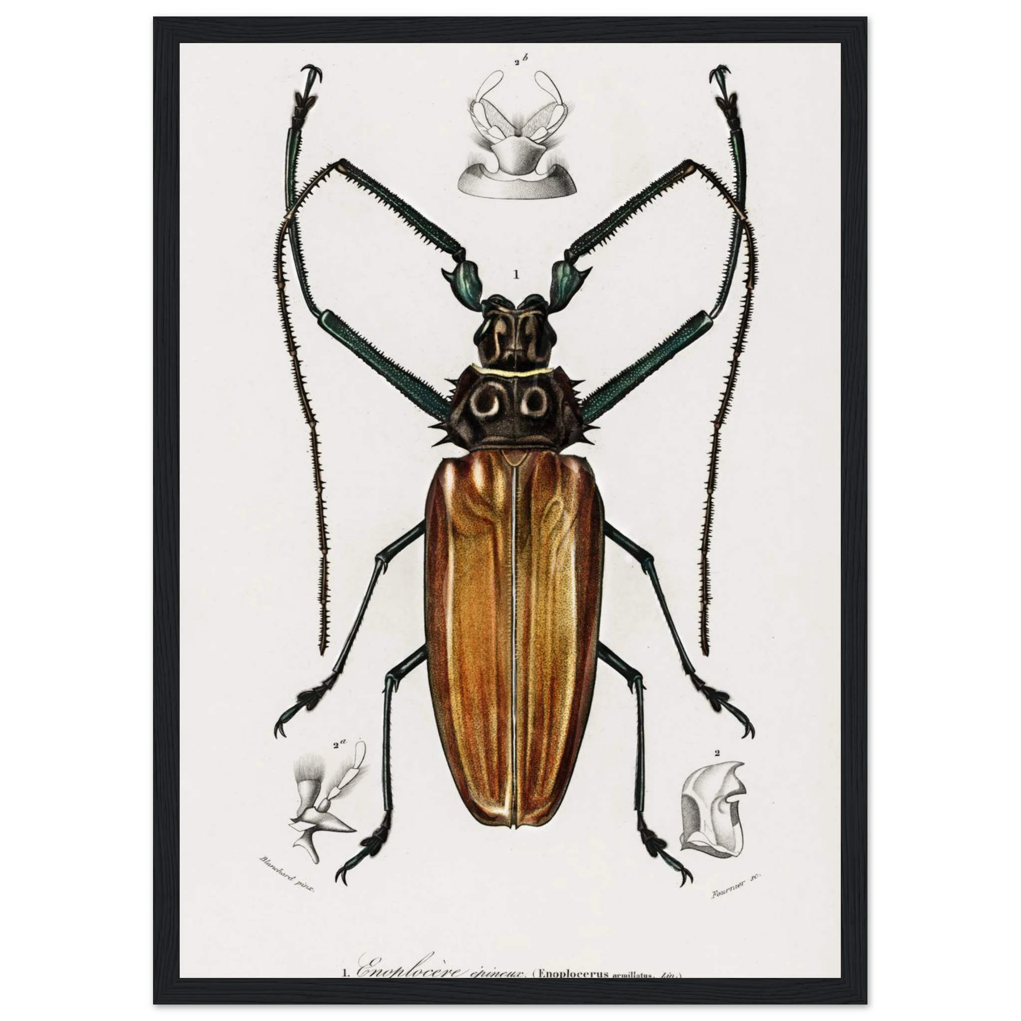 1a5fb68e-9709-4e10-aef0-258c051f478c