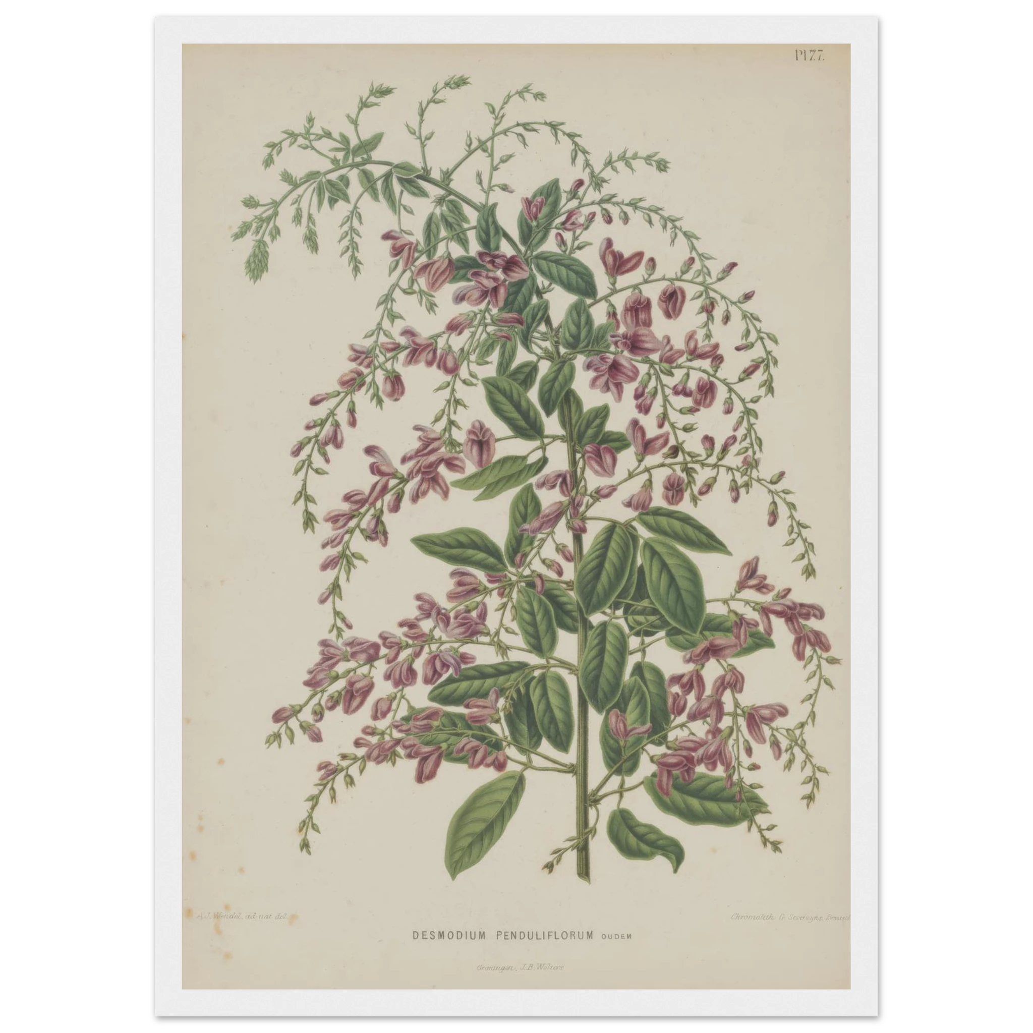 1aa6e460-1c51-4bc0-bdf6-bf21291c74f3