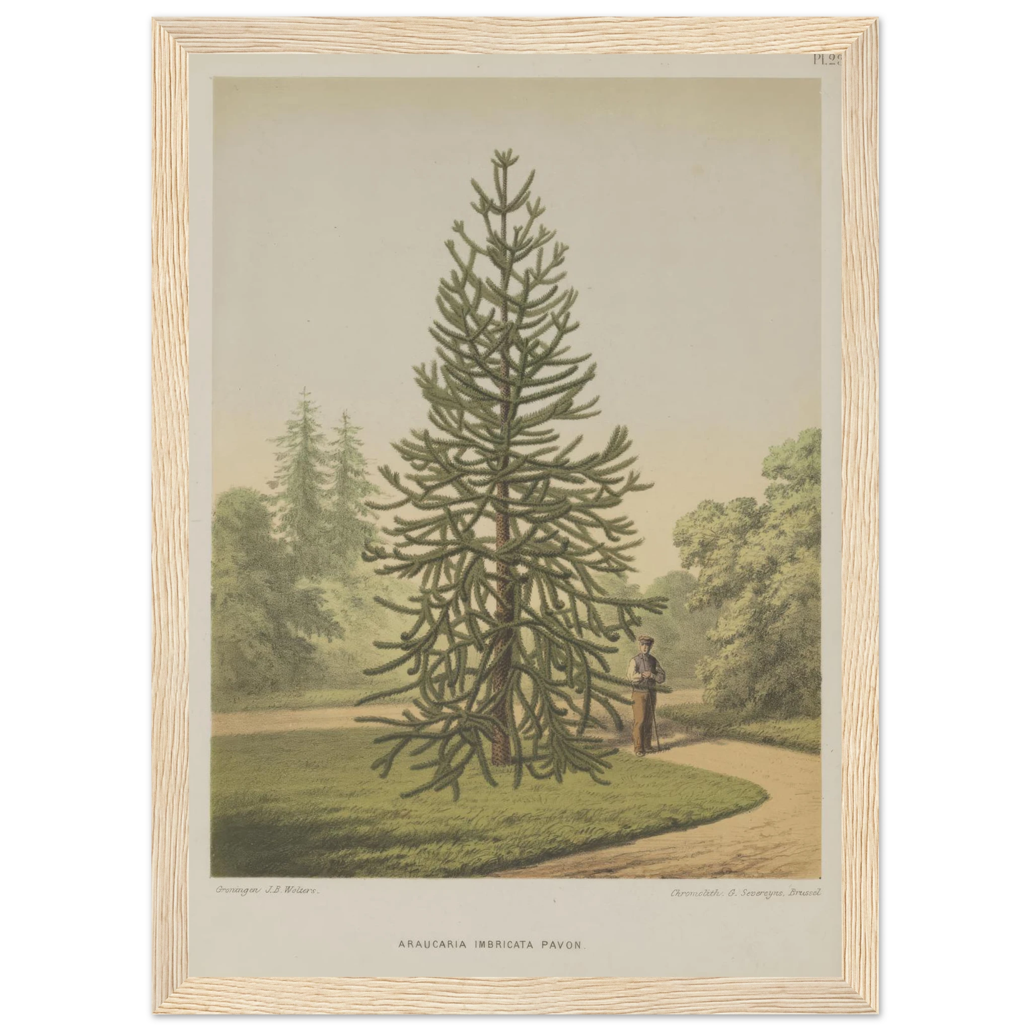 1aca716f-a523-4a16-ad6c-16a6a1e66b86