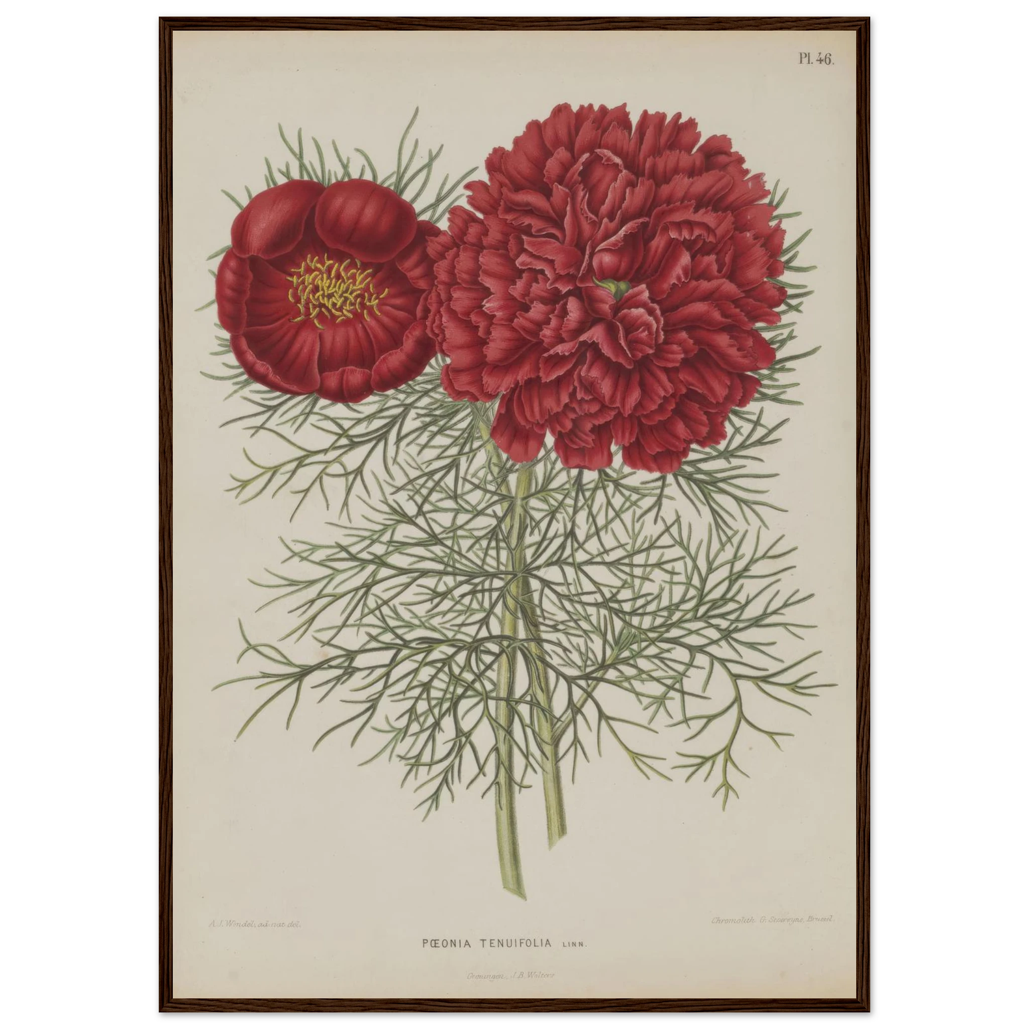 1afc3875-18df-41e4-a560-b04c8ce0e311