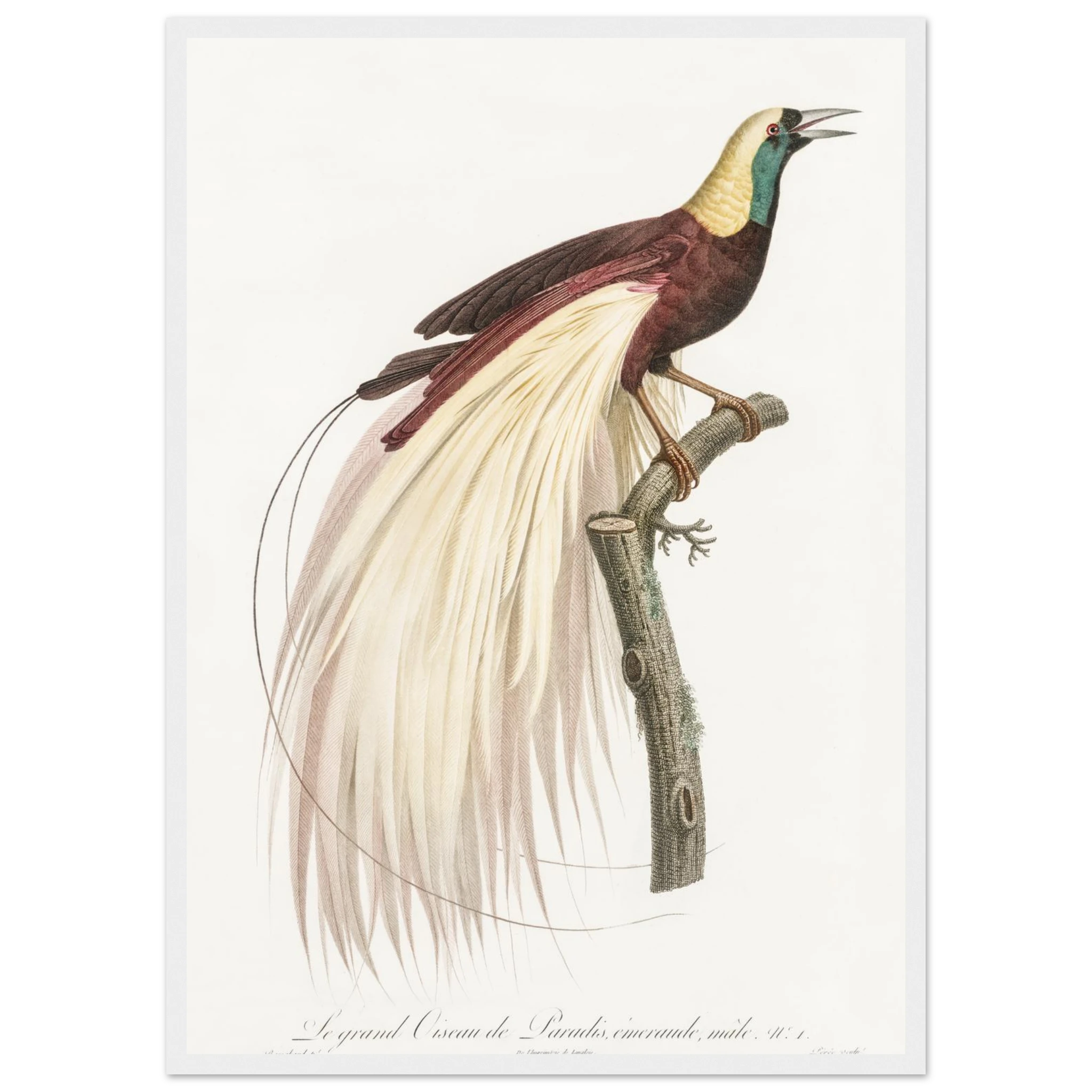 1b719b5f-6983-41ef-a8b8-b76251241a02