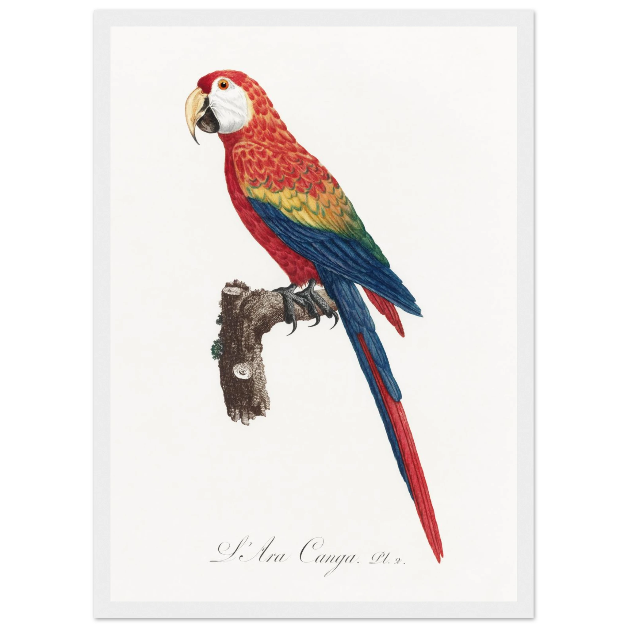 1b8e2869-46a4-48f0-b1e5-1d8c7c18bd02