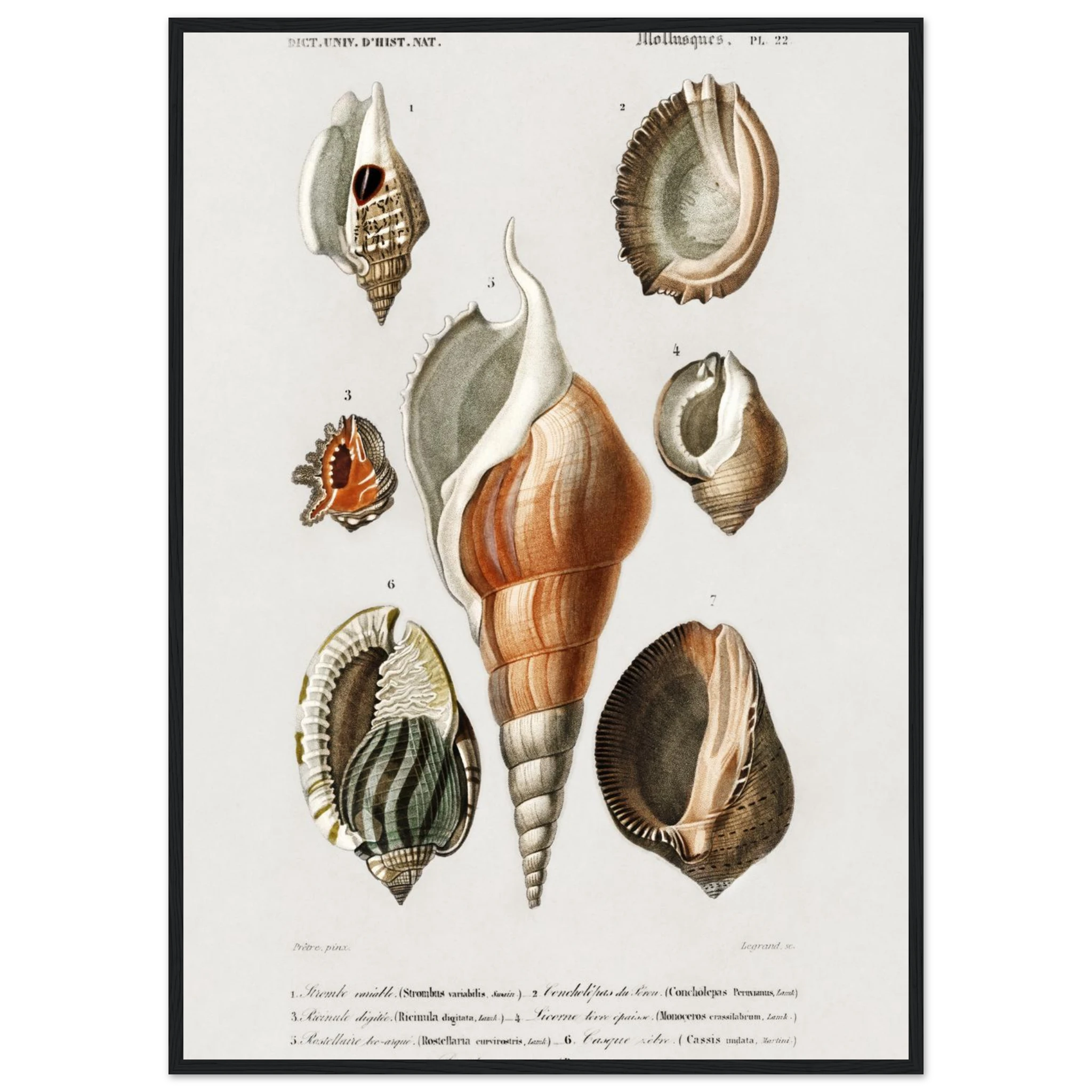 1b9093bf-ba12-4dc1-b2d5-0dd17e60894f