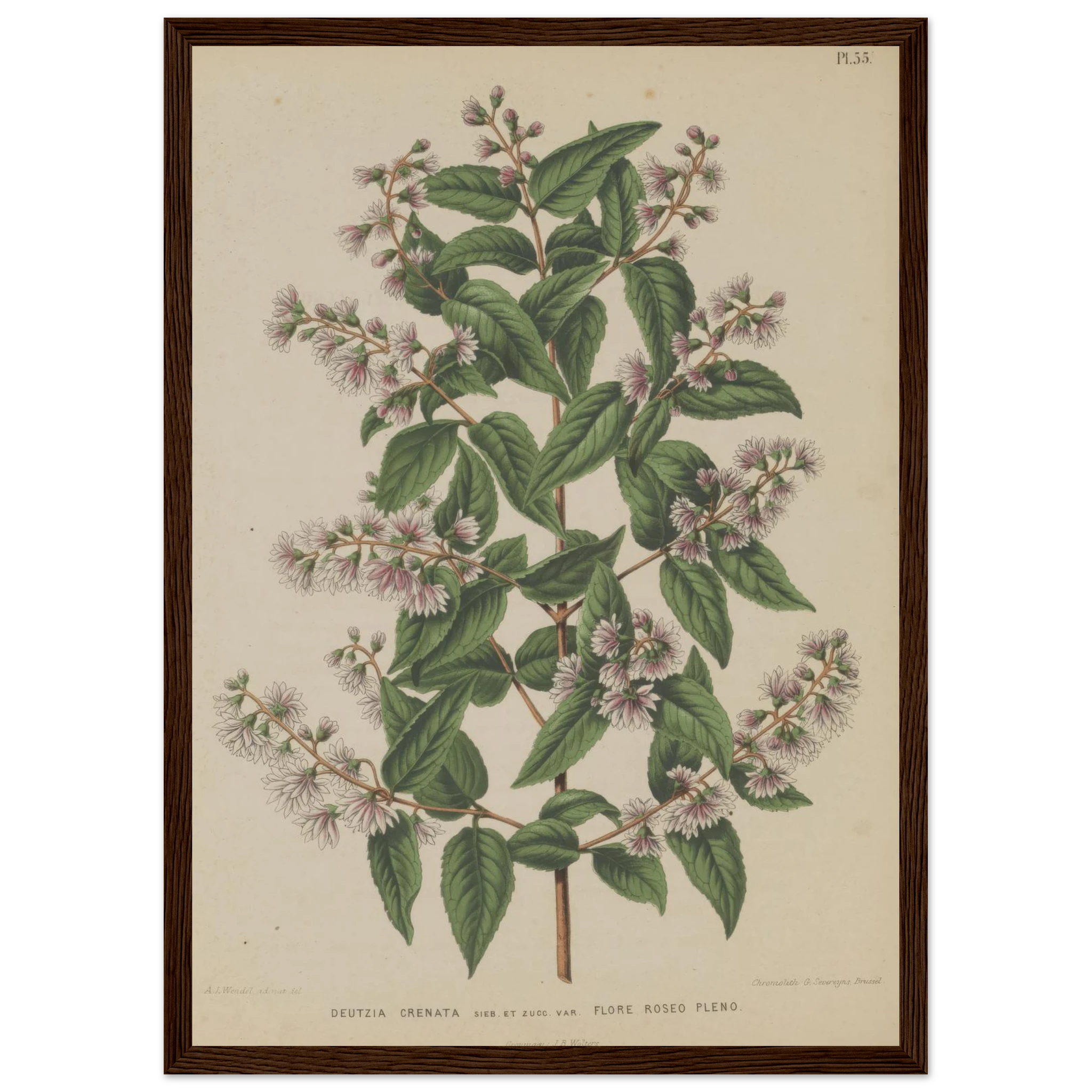 1ba4d19d-56d0-4646-9ed5-7e13b9a95338