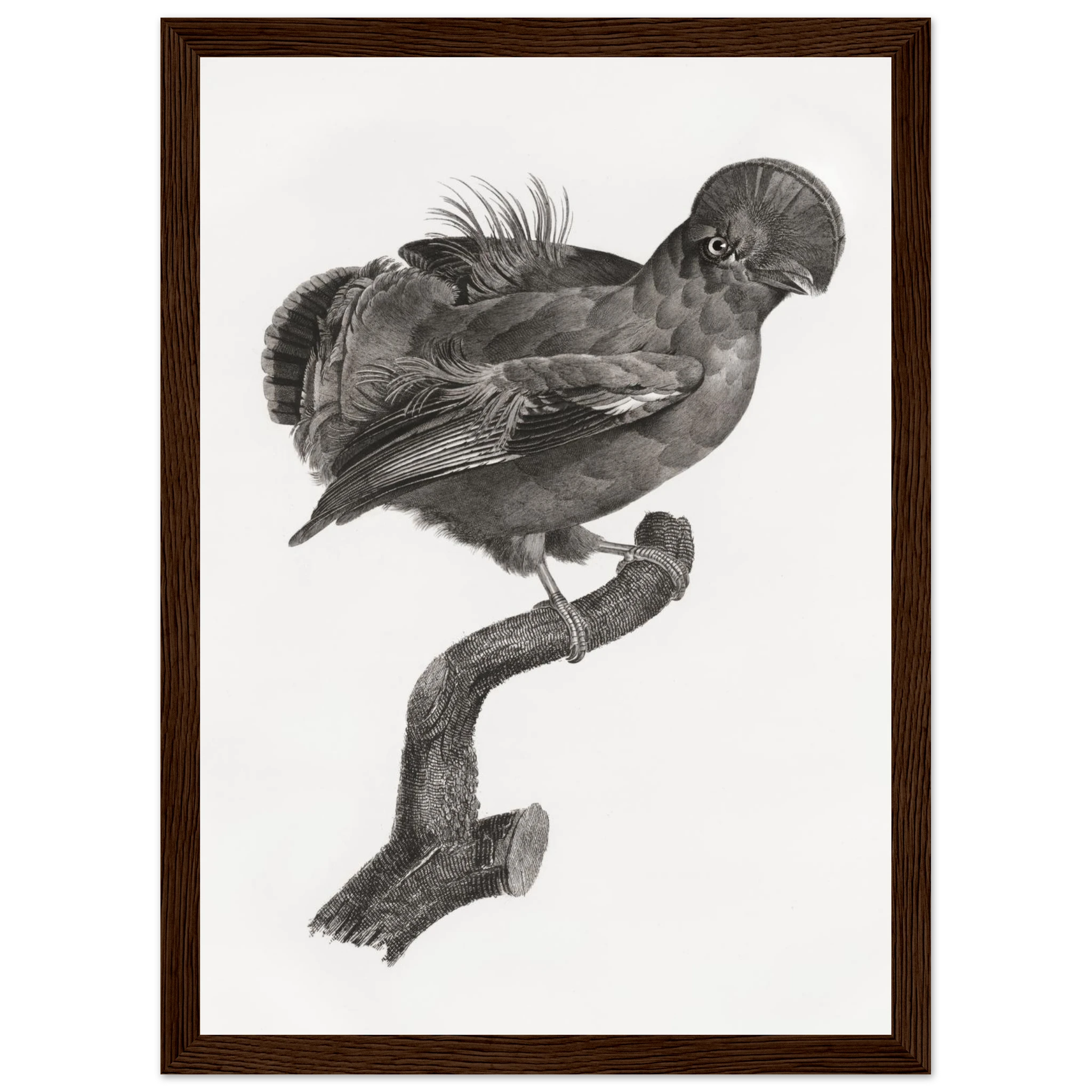 1ba5a584-1ce3-4e04-85f6-5343e3449859