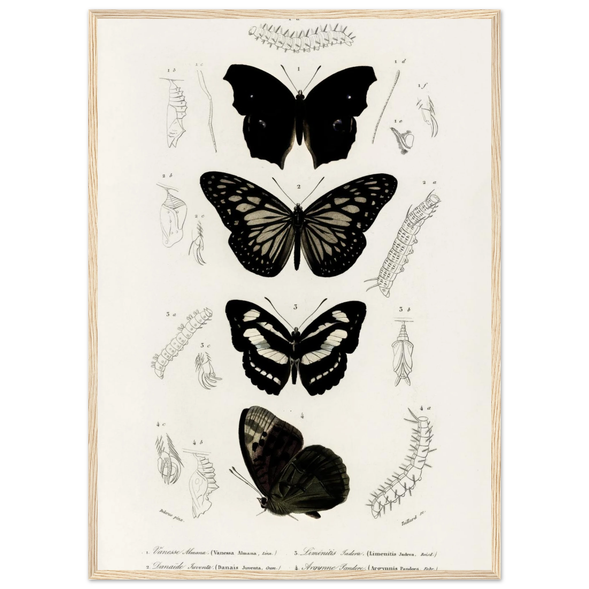 1c067e79-c86a-4728-99b2-ba58bf1b7488