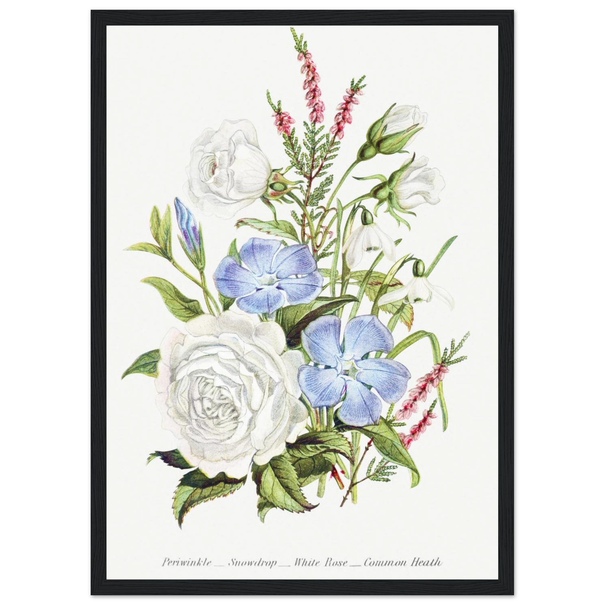 1c0d56fa-516d-4fa7-8625-8e0261f46d8a