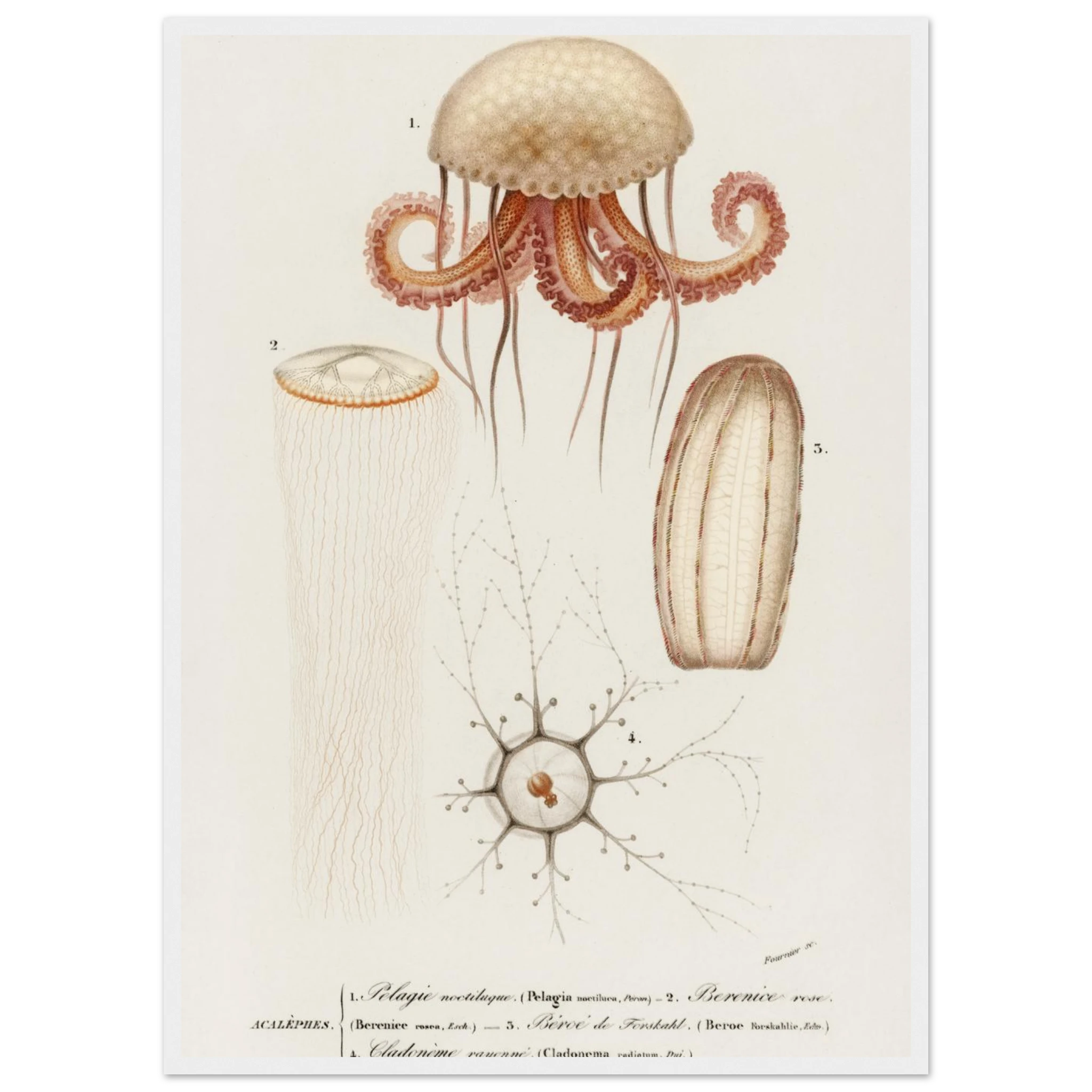 1c3be06a-8142-4968-b8f7-4d5e38315753