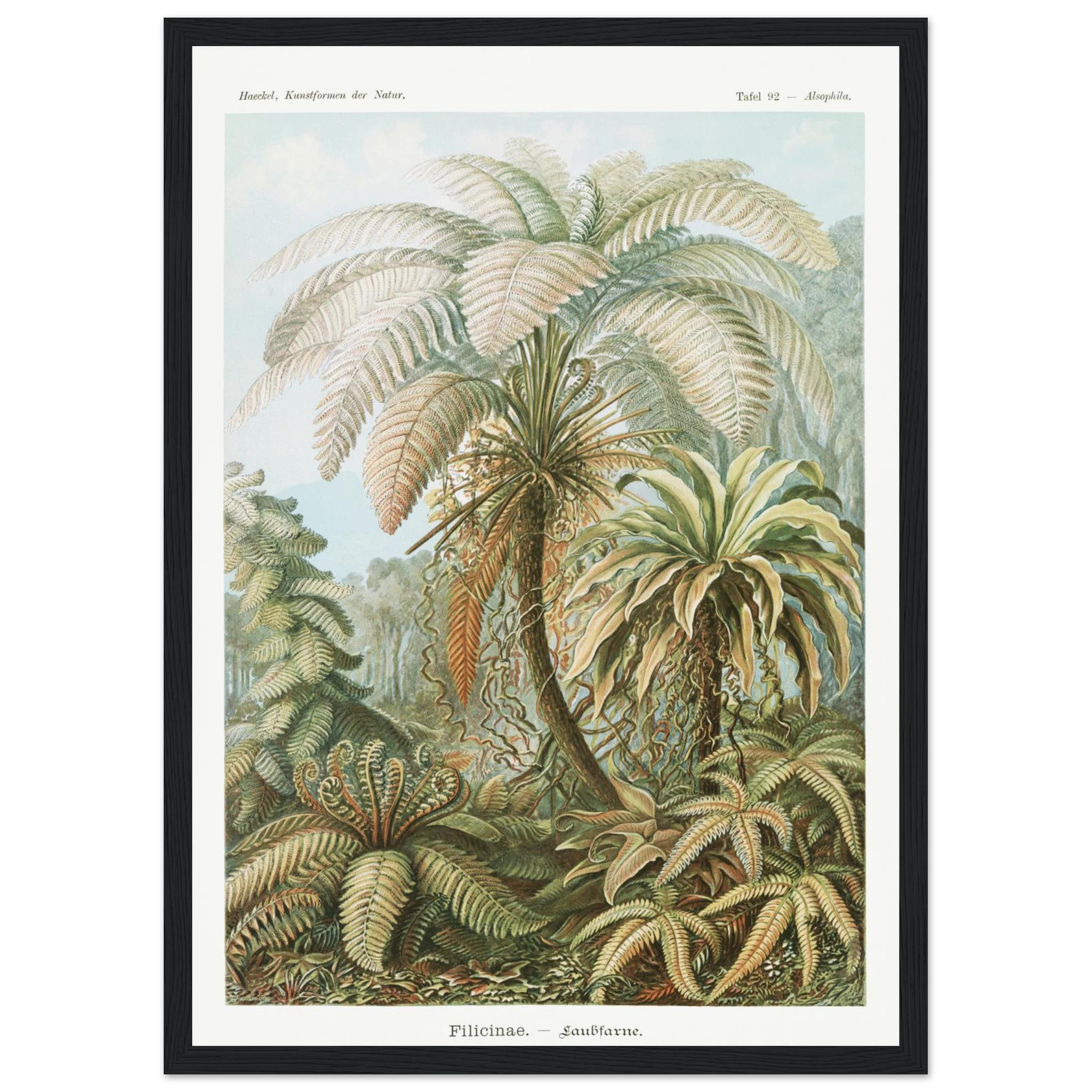 1c4cd365-0d4d-4f56-bdef-8daf0508a2f7