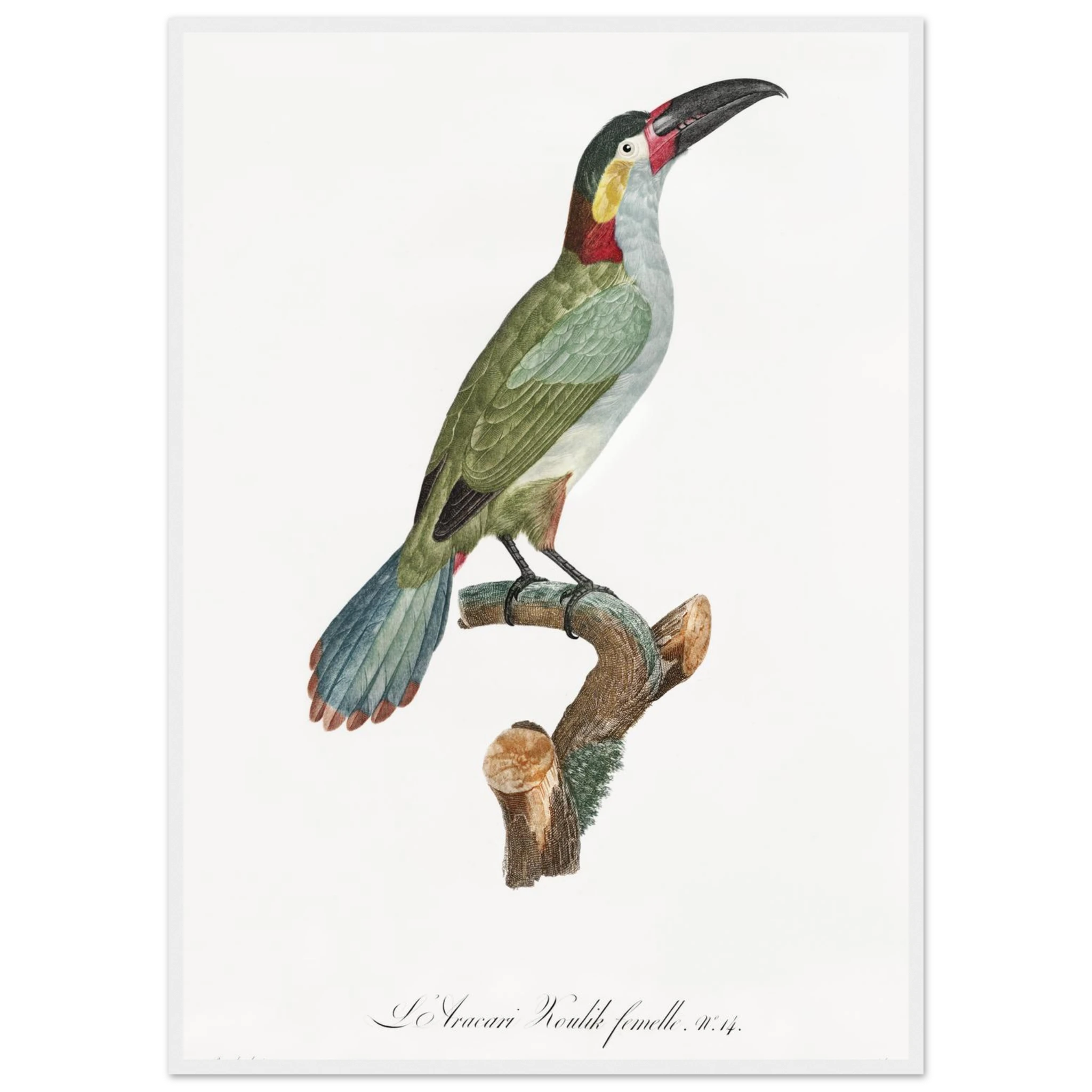 1c4e5ff0-2fd7-476e-a2fb-375db65f61e2