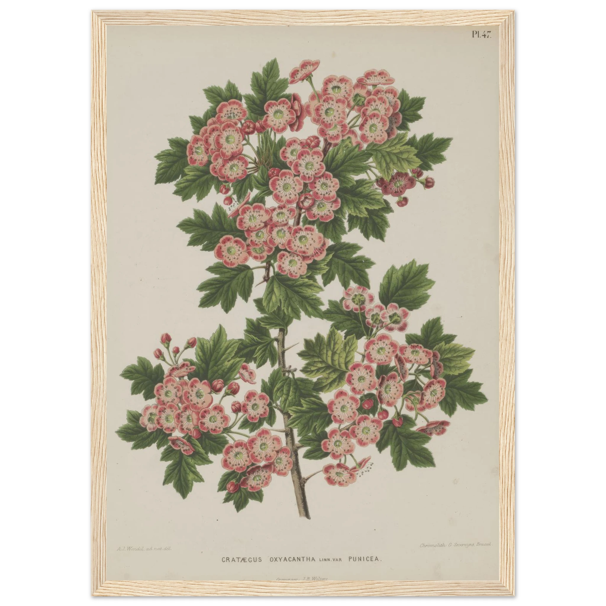 1c8157ca-e6b8-4c35-a906-a5357392ee3f