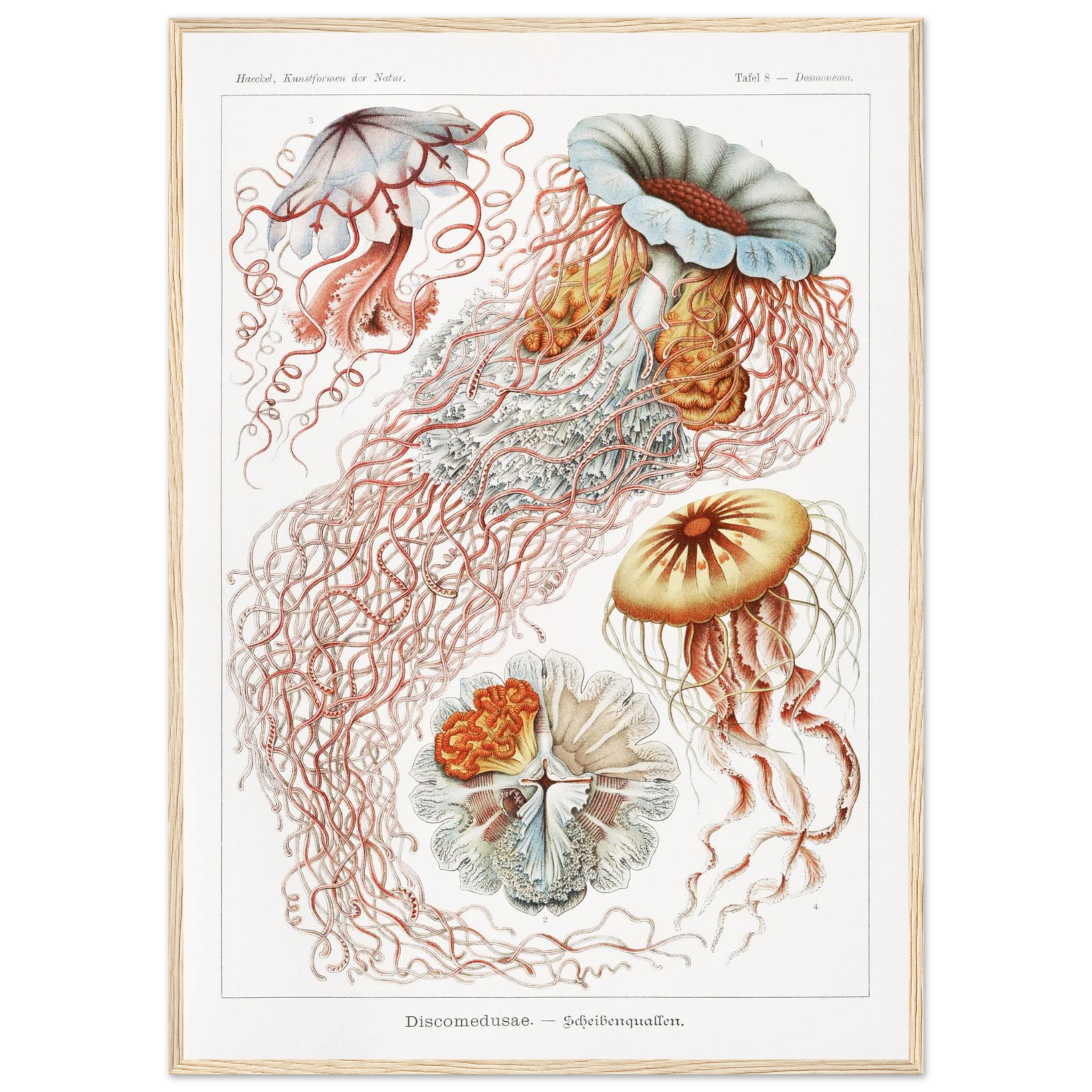 1cf37132-7205-45dd-b60b-46b8f2a32d58