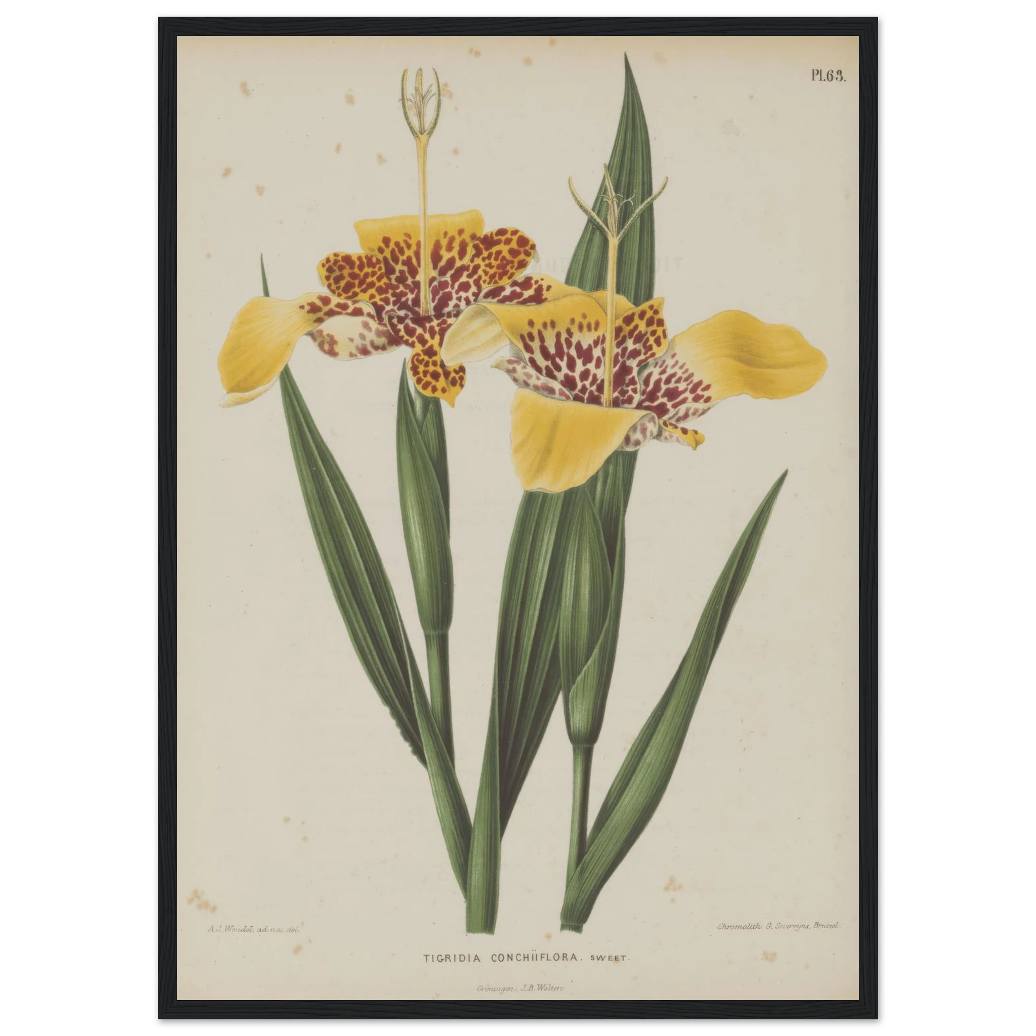 1d393663-0c7b-4bfd-a058-2aec7fbce51f