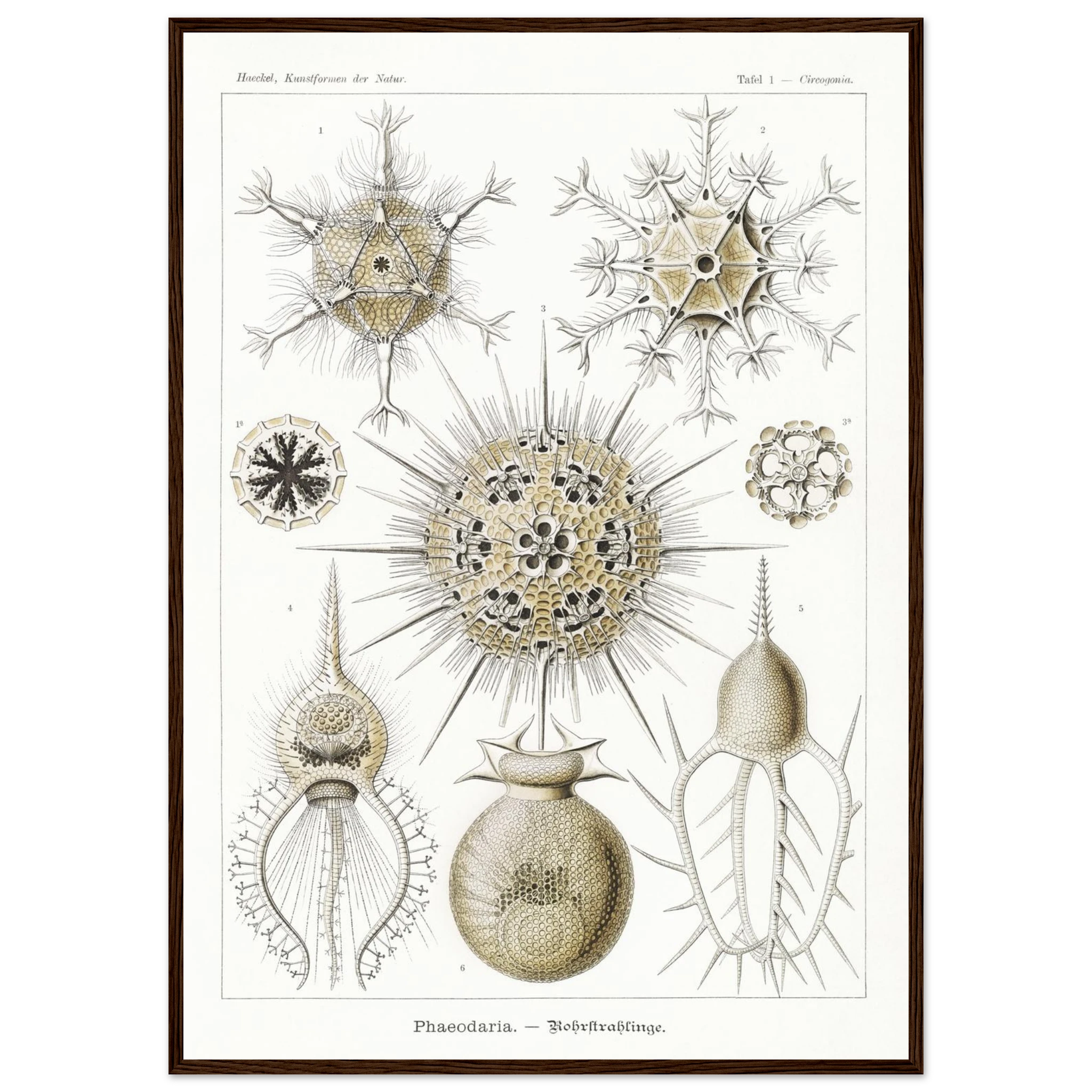 1dc1377a-818b-4989-9974-652a34a7749a