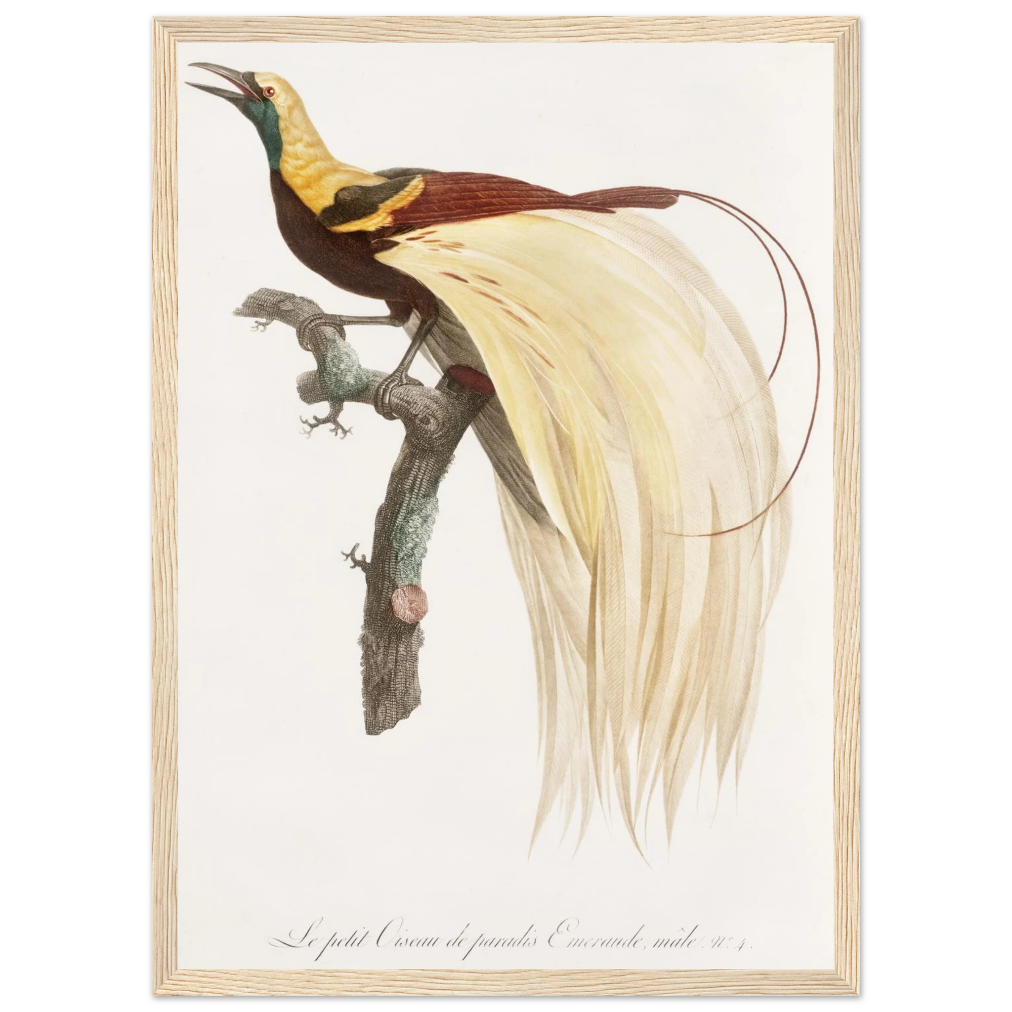 1e1e60ae-8335-491b-a9b9-9bab2c93efa9