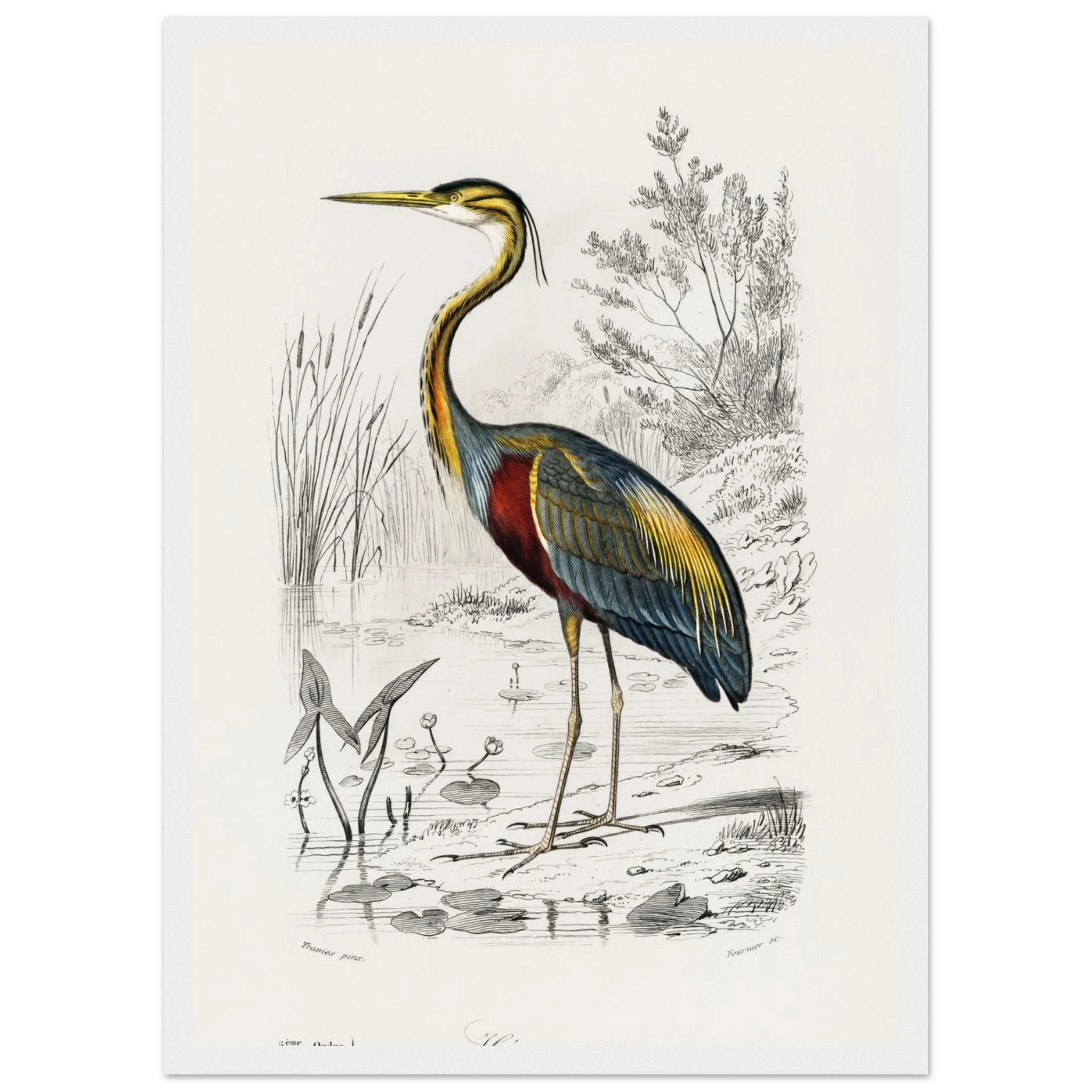 1ee7ab94-d6bc-4409-b294-6e46f33ff8c6