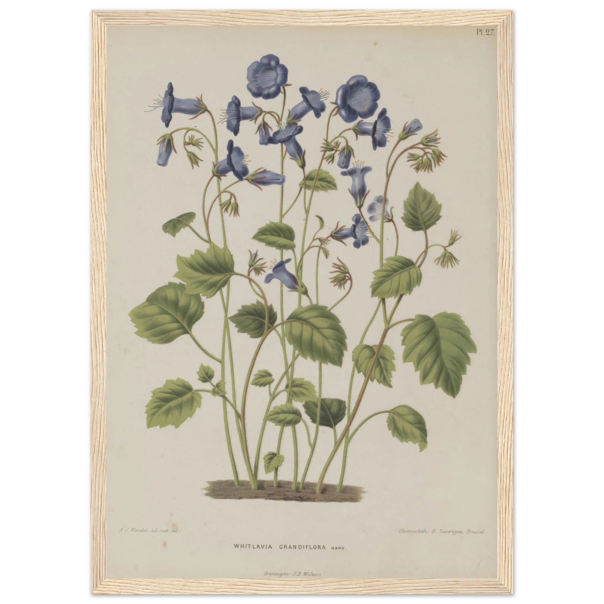 1eea9653-a61c-45d3-aabb-5d70e4cb7daf