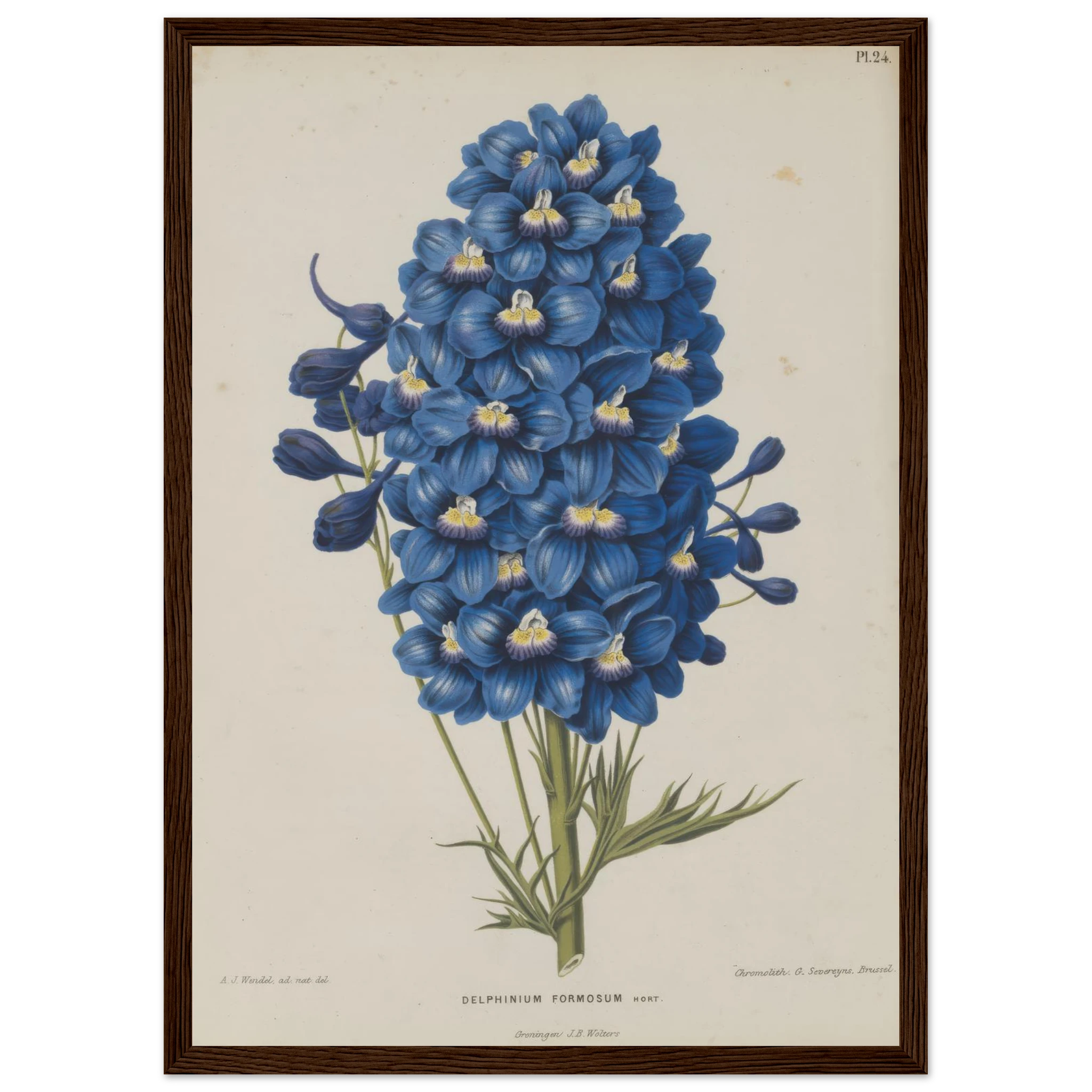 1f0ede9d-2ebc-4c25-9a1e-e5435bcd6e1a