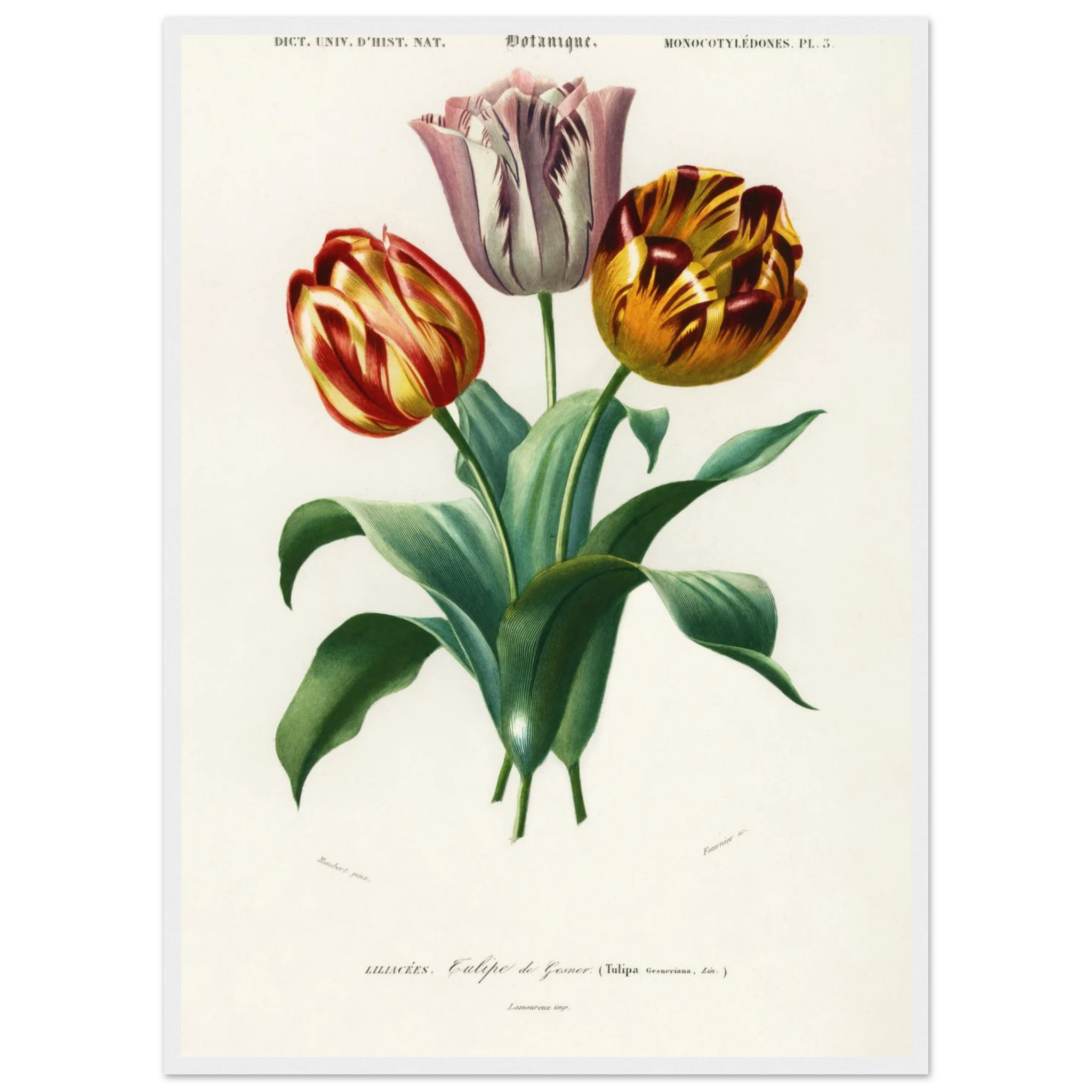 1f57b143-3330-42f7-af17-0435b87a2d07